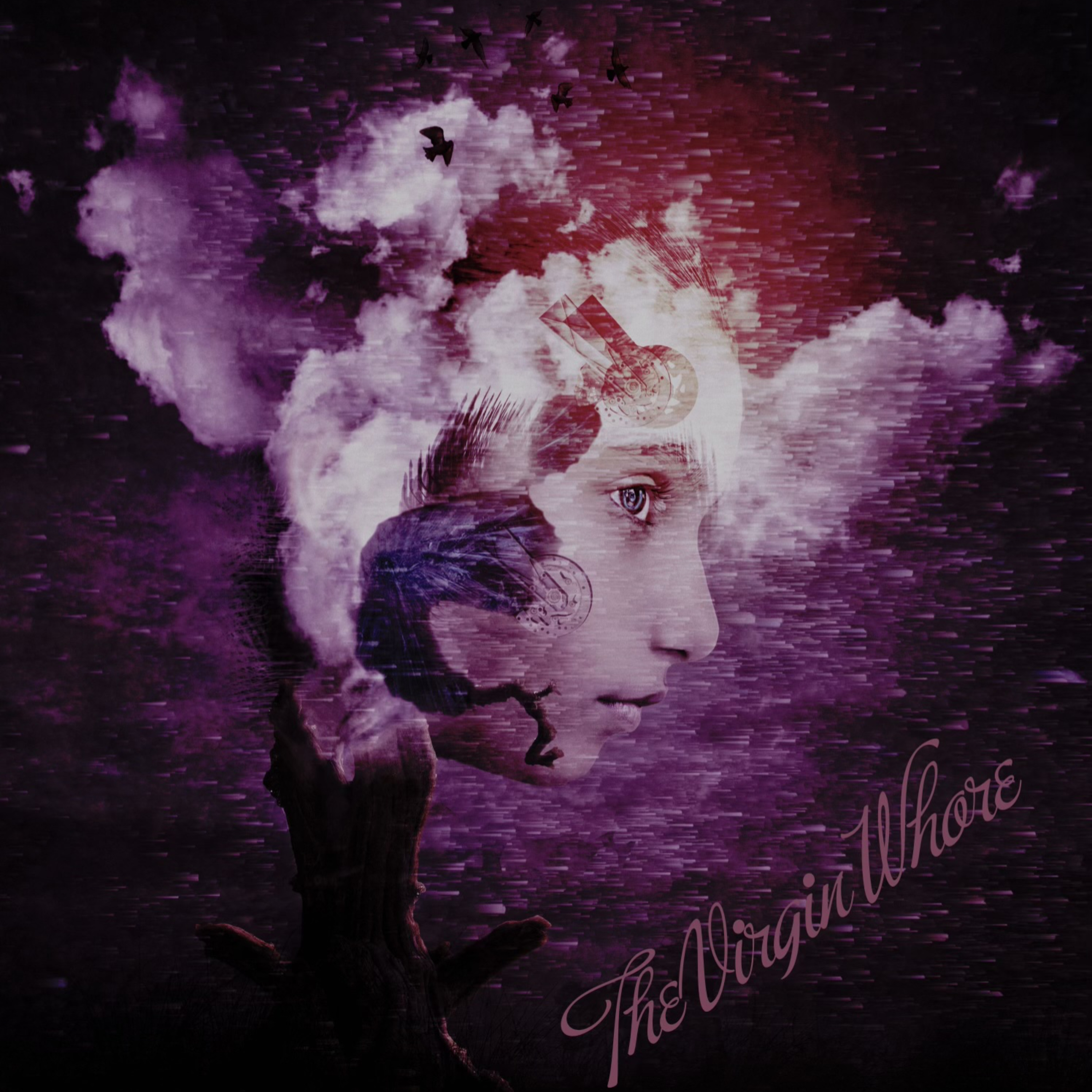 The Virgin Whore cover art