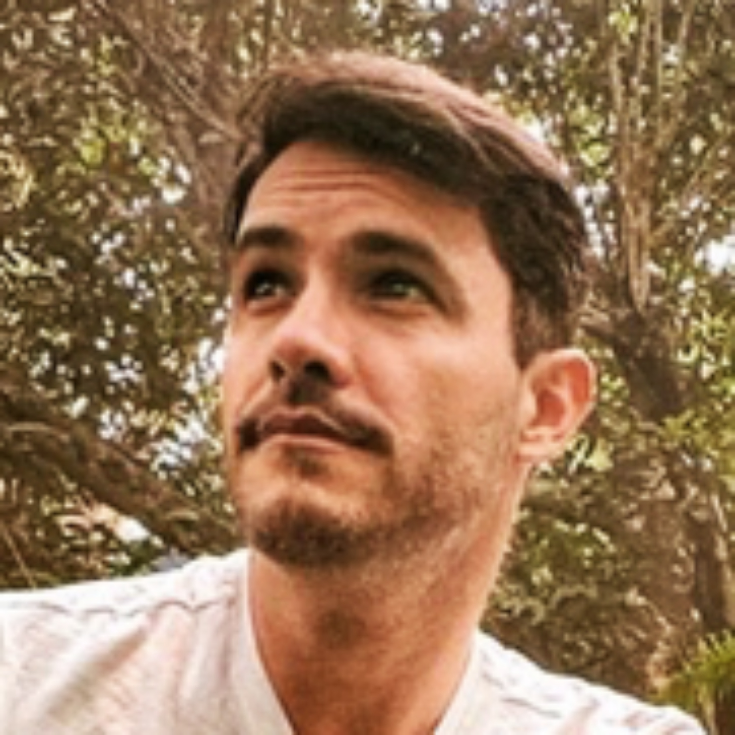 Diego Barmell cover art