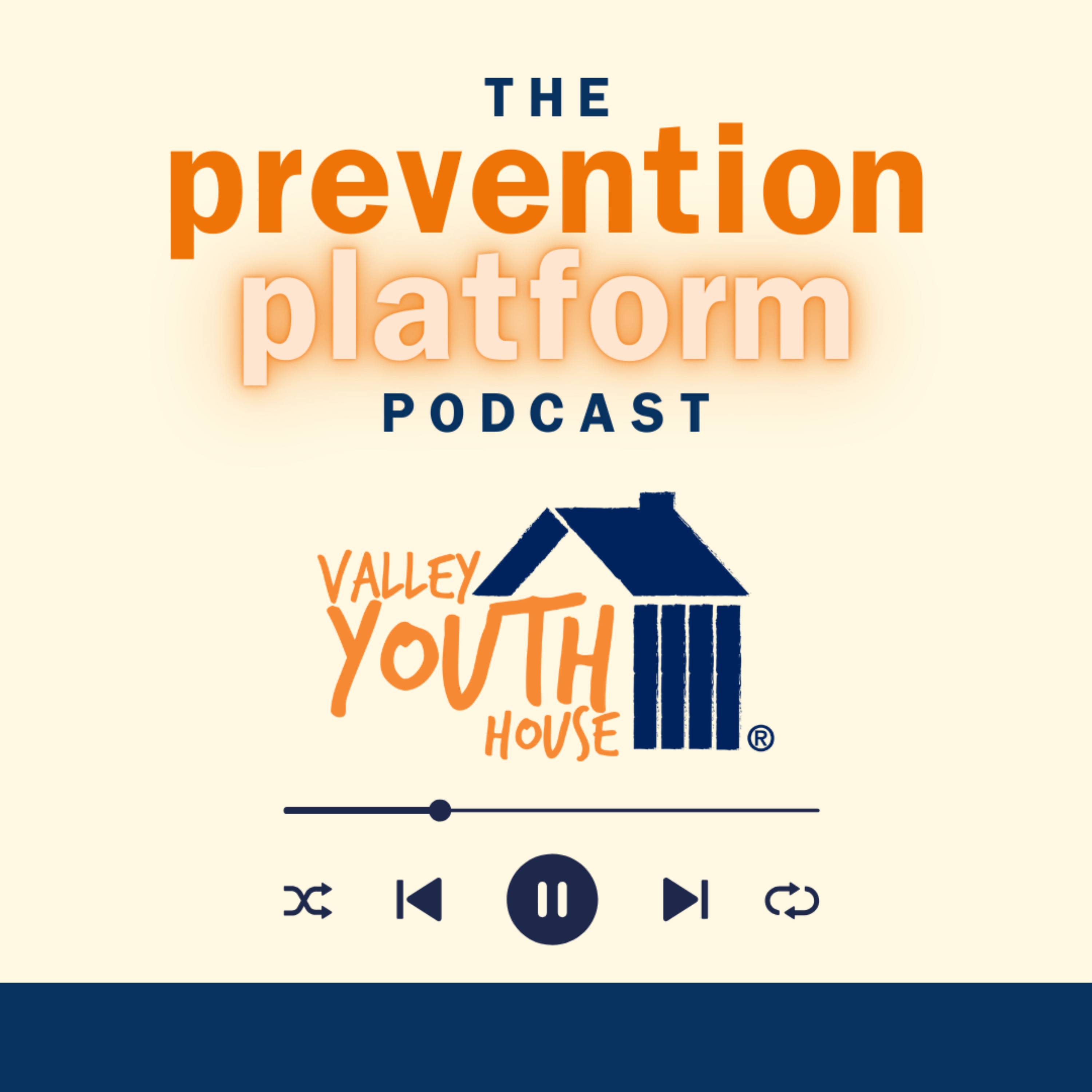The Prevention Platform - Opioid Awareness episode artwork