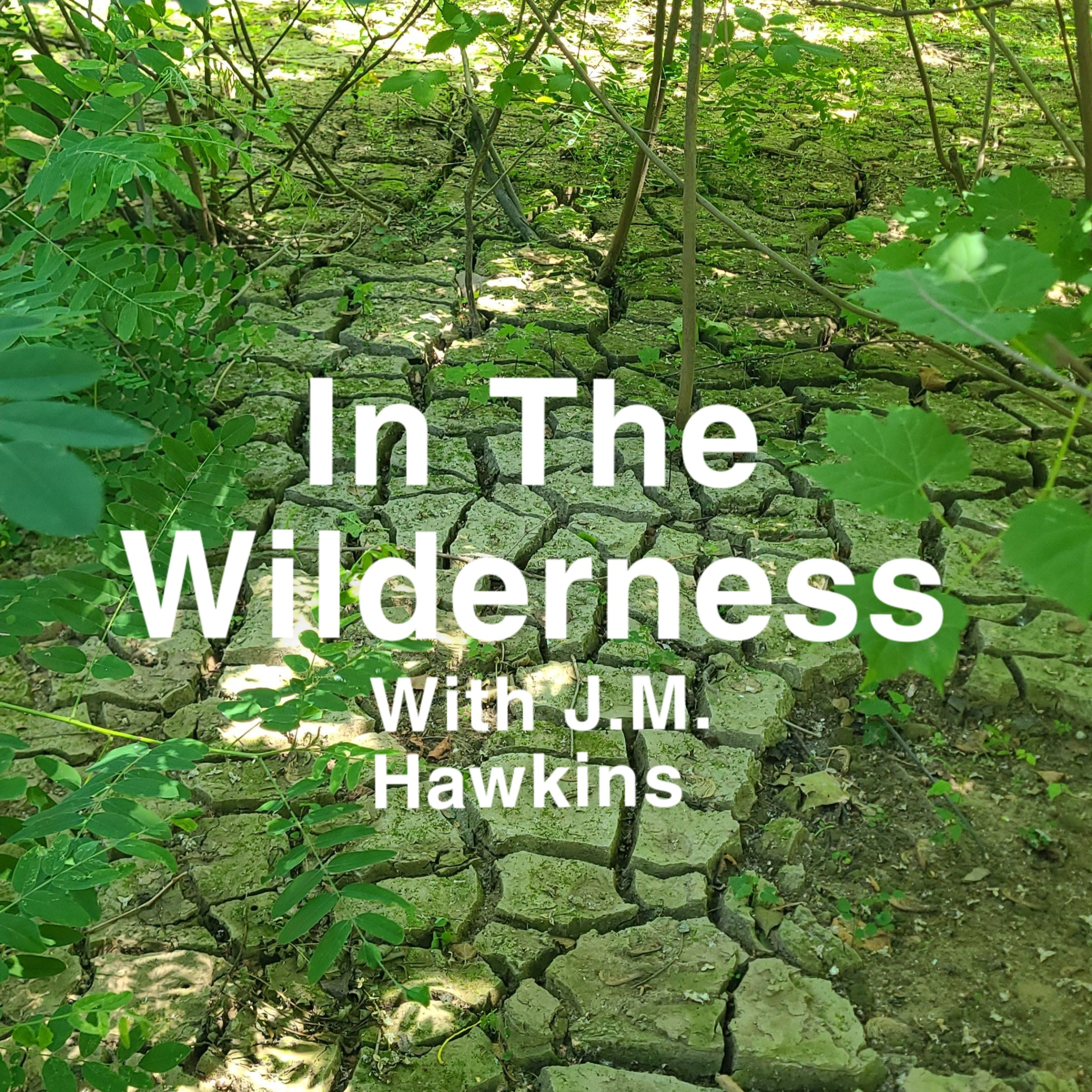 In The Wilderness with J.M. Hawkins