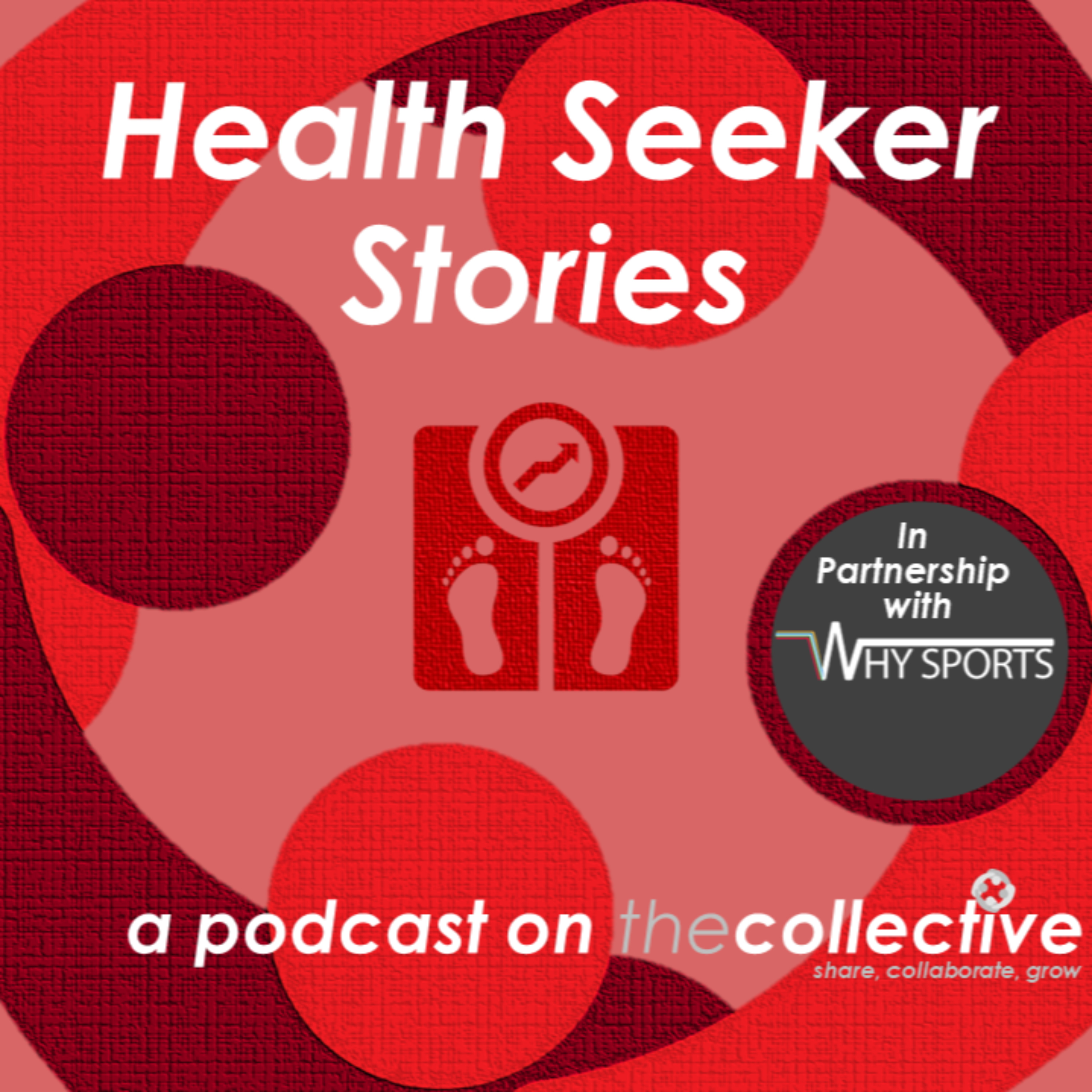 HealthSeeker Stories podcast artwork