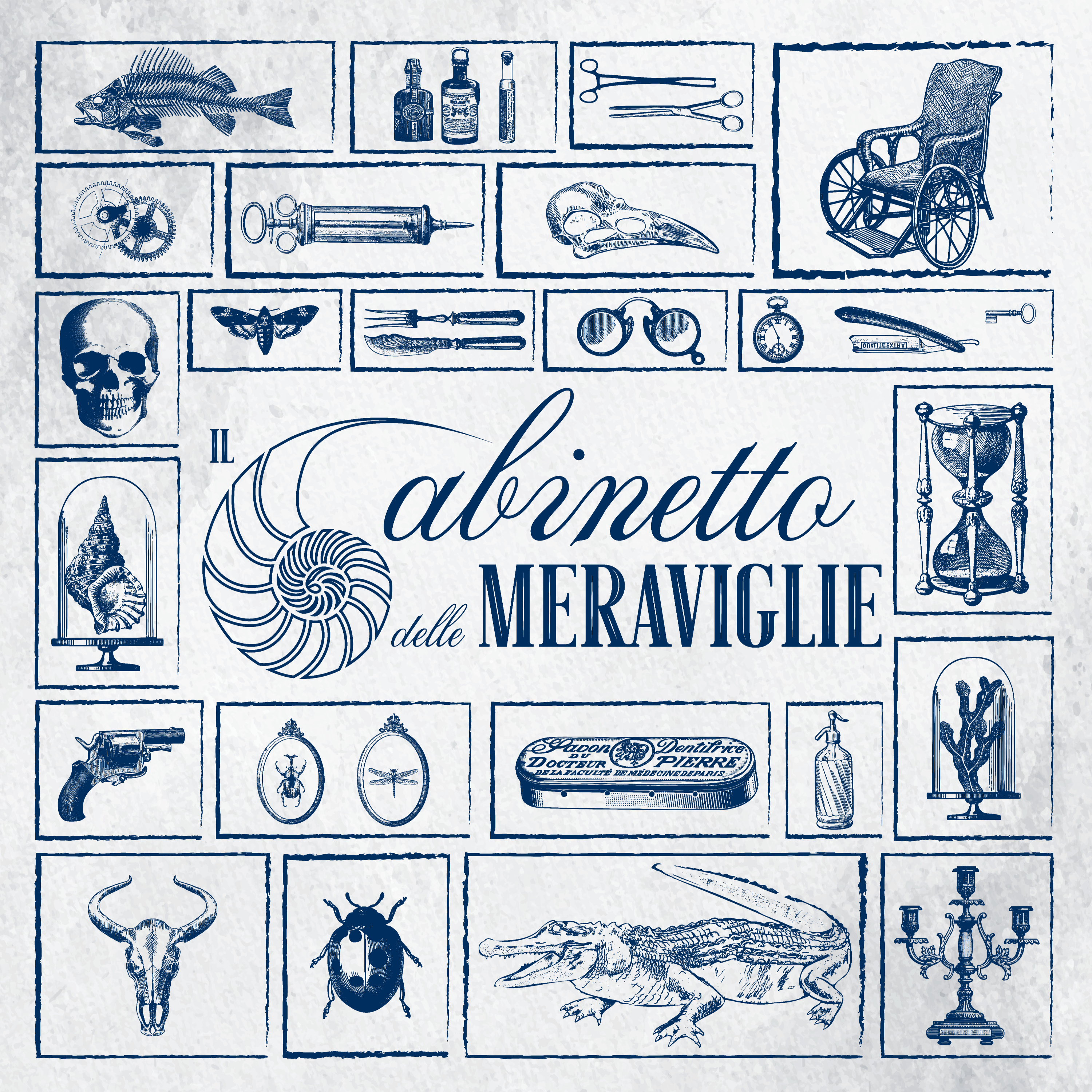 Il Gabinetto delle Meraviglie