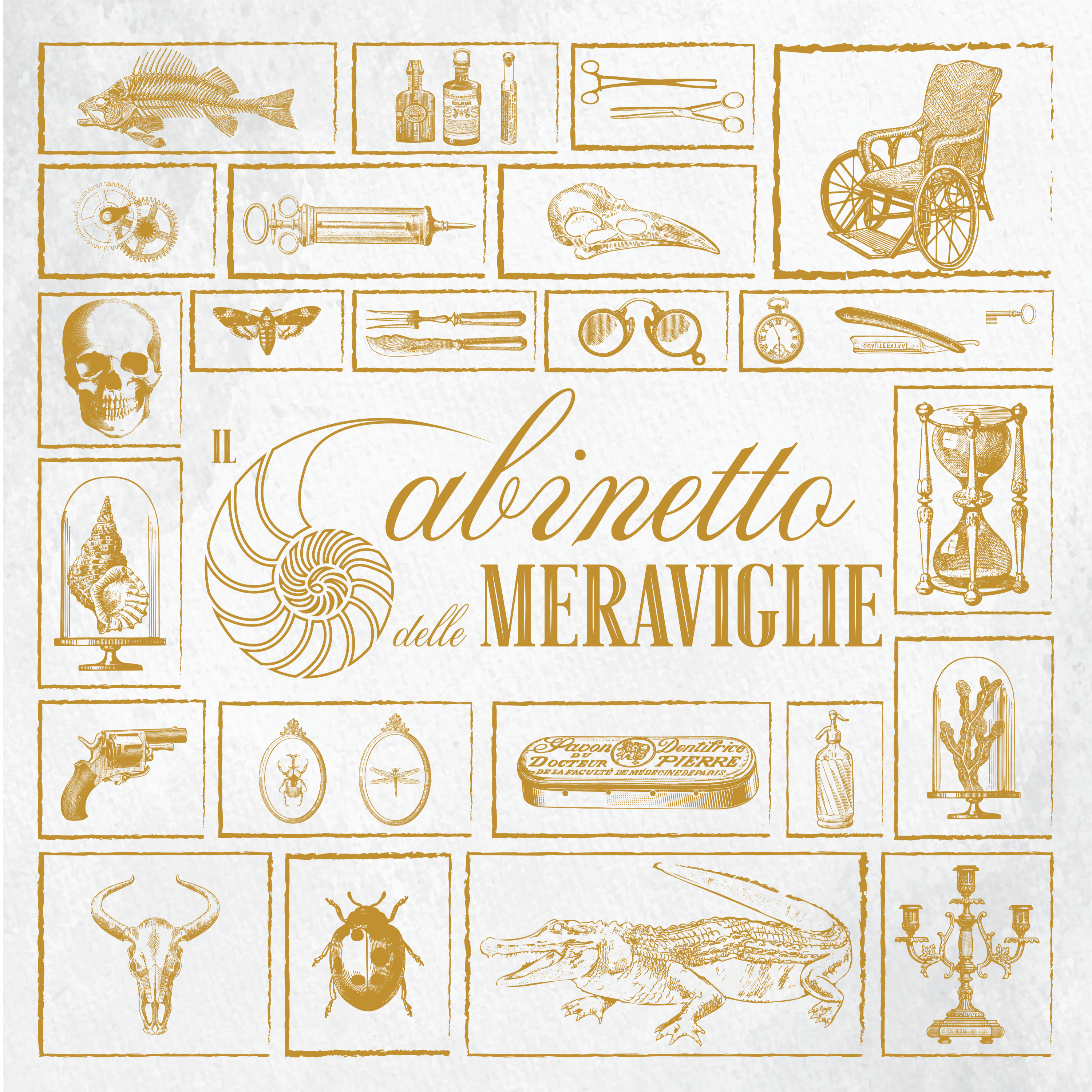Il Gabinetto delle Meraviglie podcast artwork