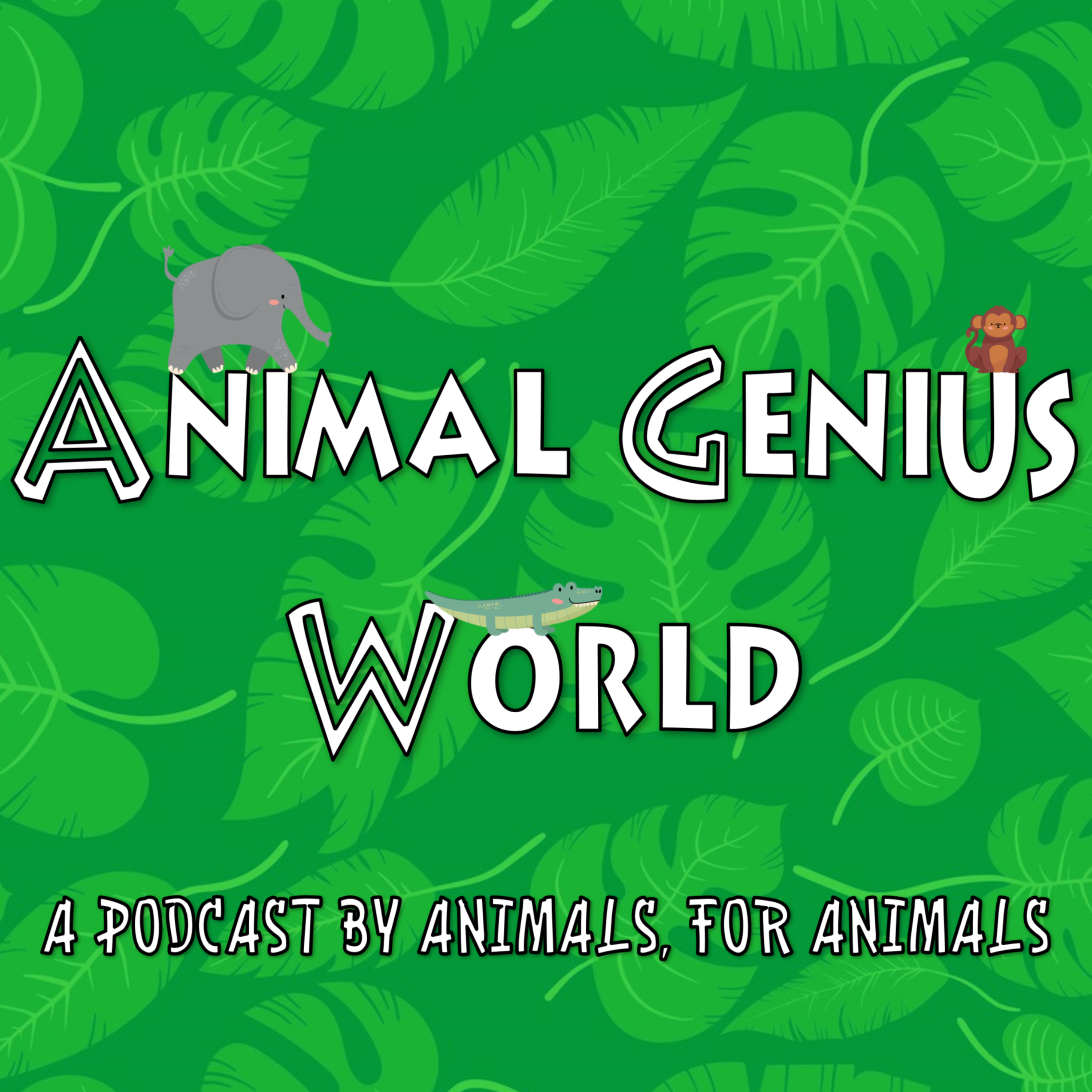 Animal Genius World
