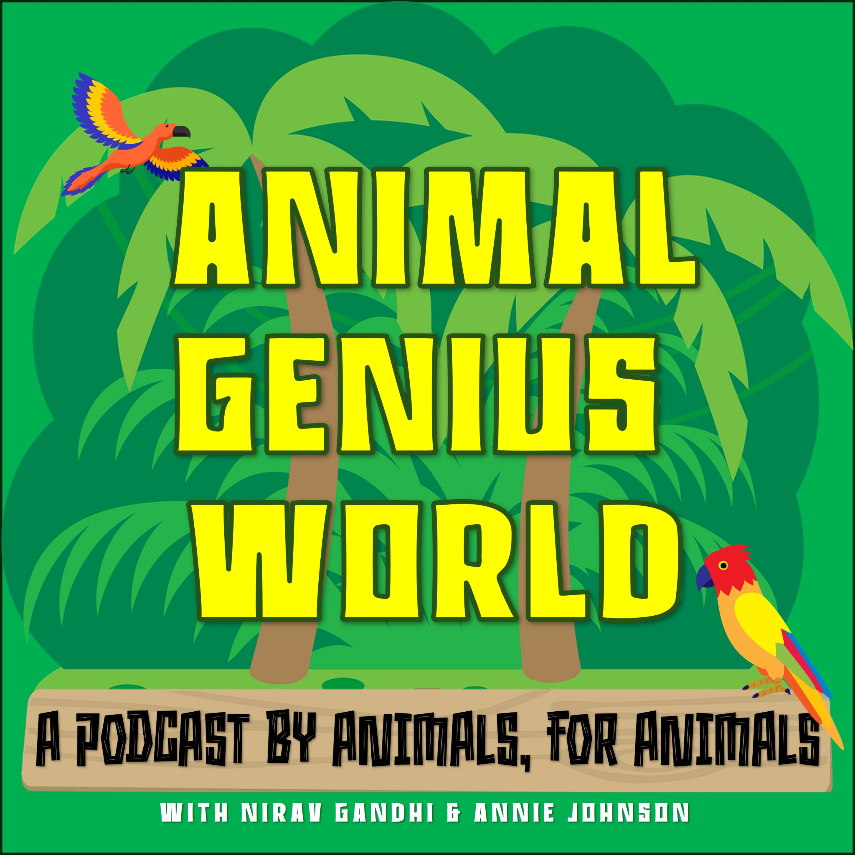 Ep 15. Jumping Spiders | Attack of the Vinegaroons (with Dr. Rachel Morgan) episode artwork