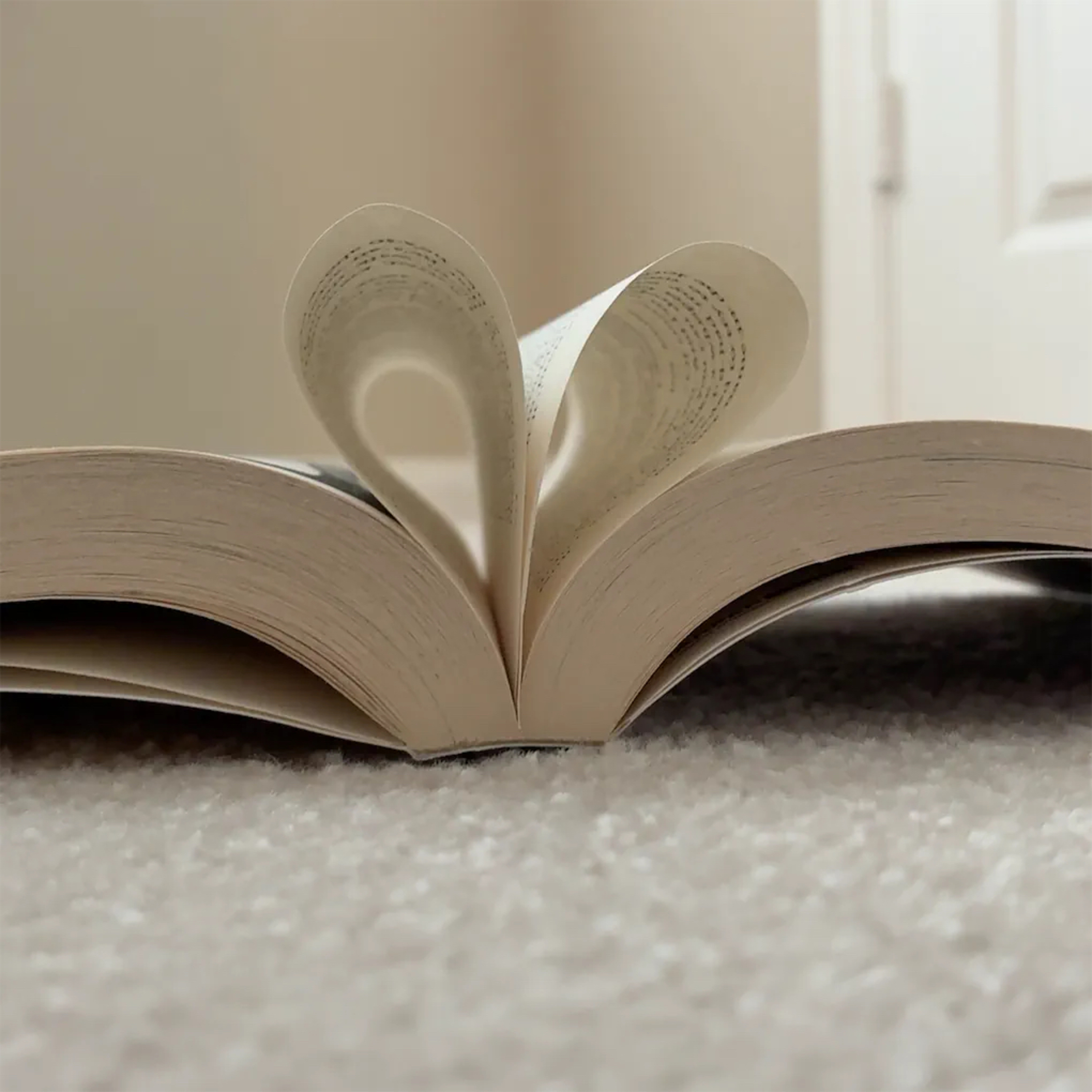 The StarClan Stargazers