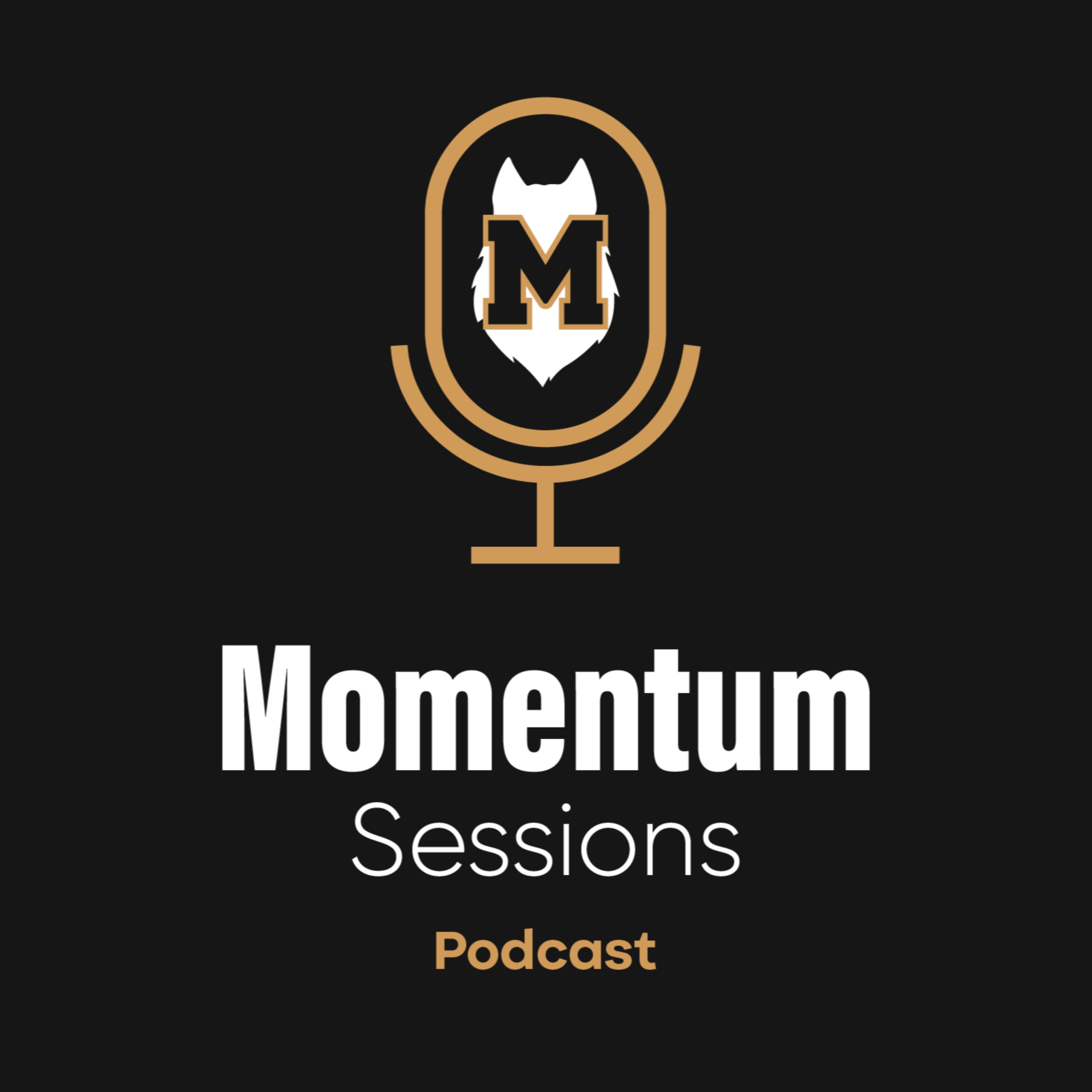 Momentum Sessions podcast artwork