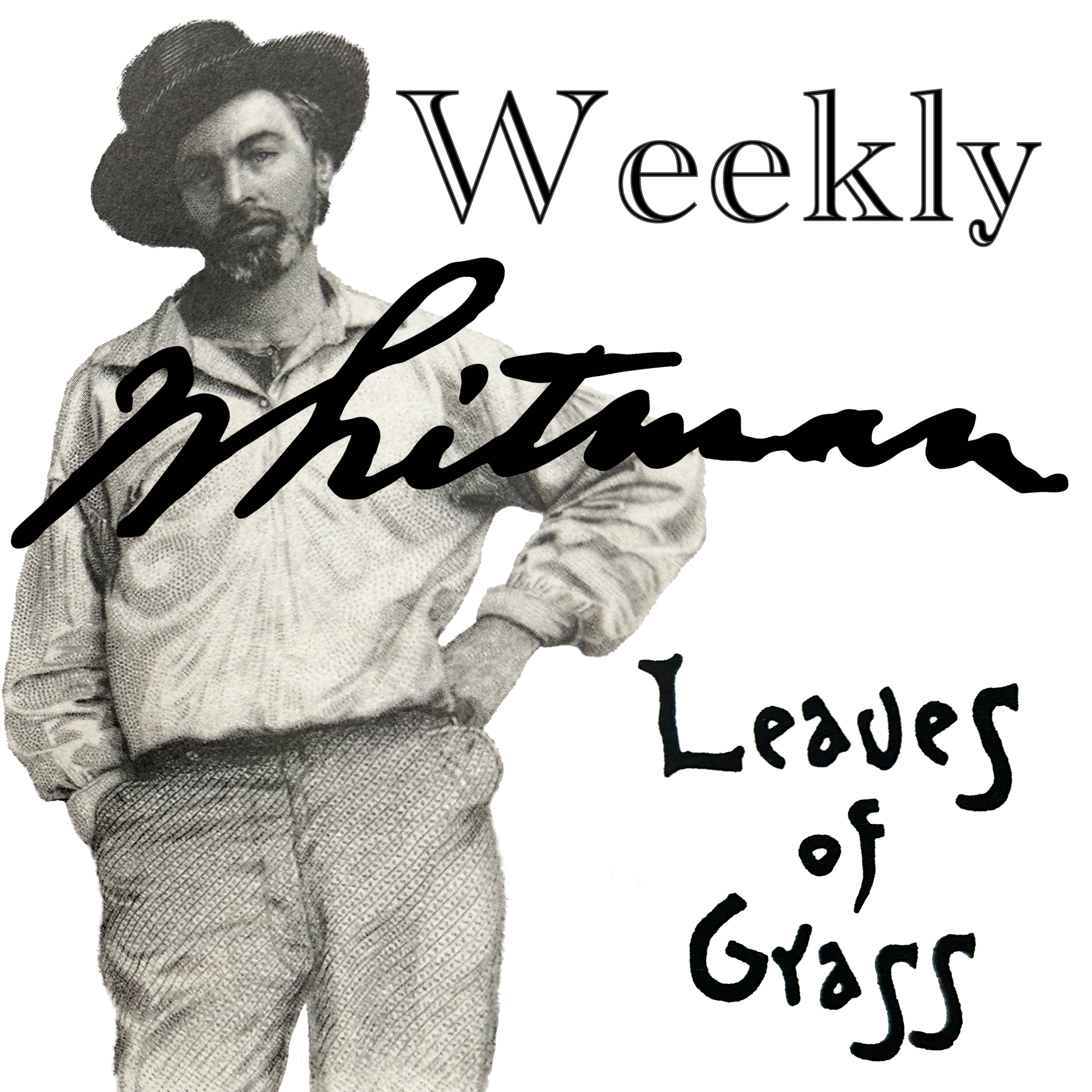 Weekly Whitman