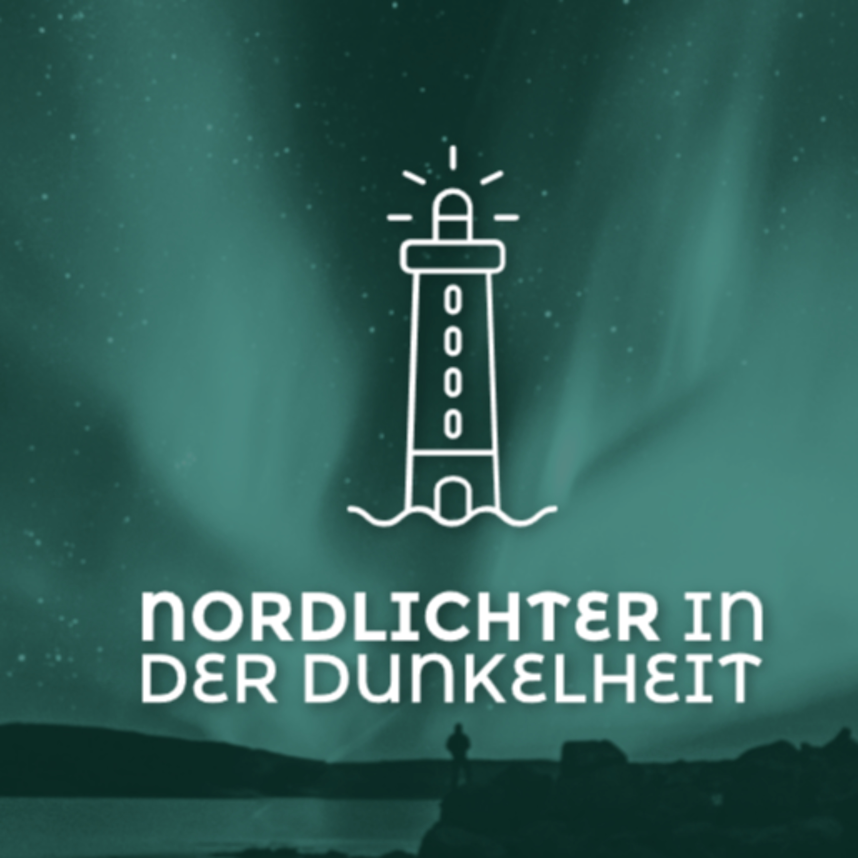Nordlichter in der Dunkelheit