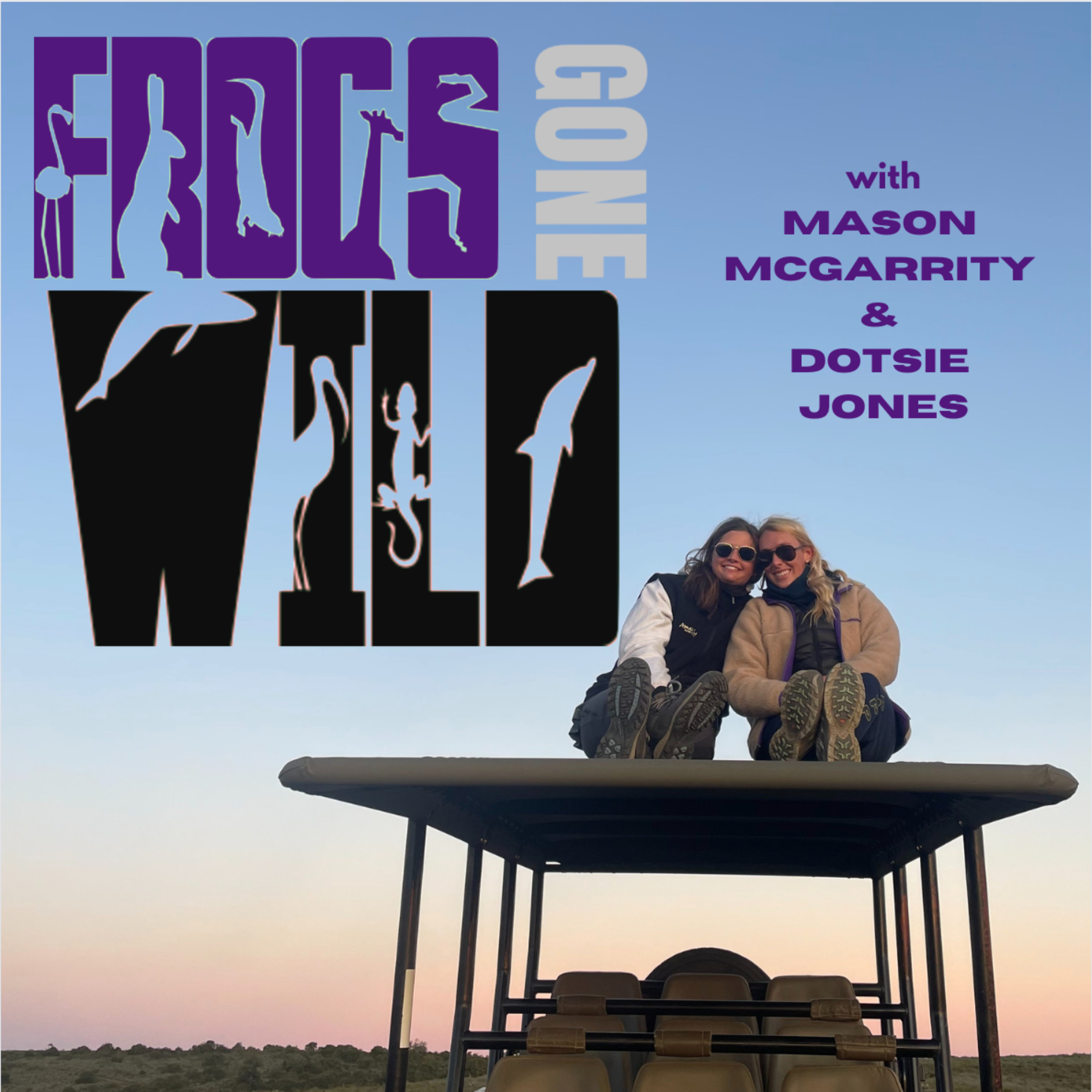 Frogs Gone Wild