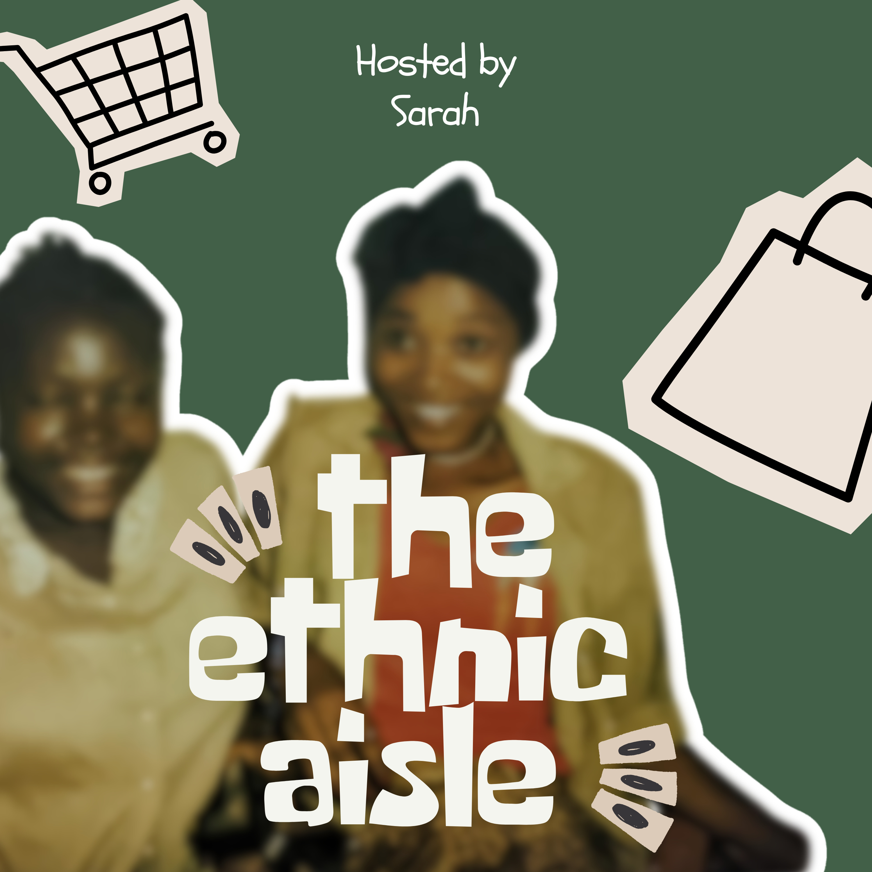 The Ethnic Aisle cover art