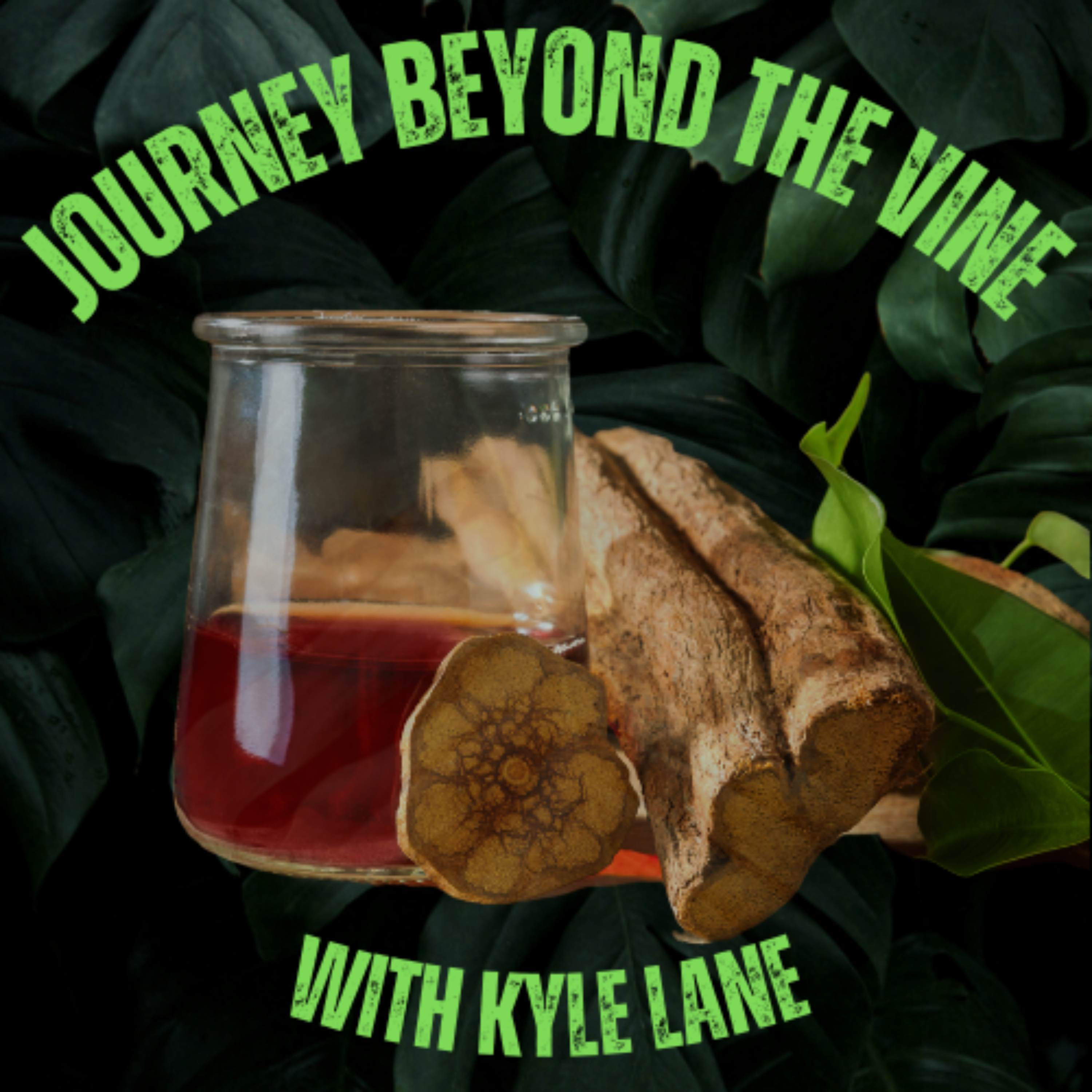 Journey Beyond the Vine podcast artwork