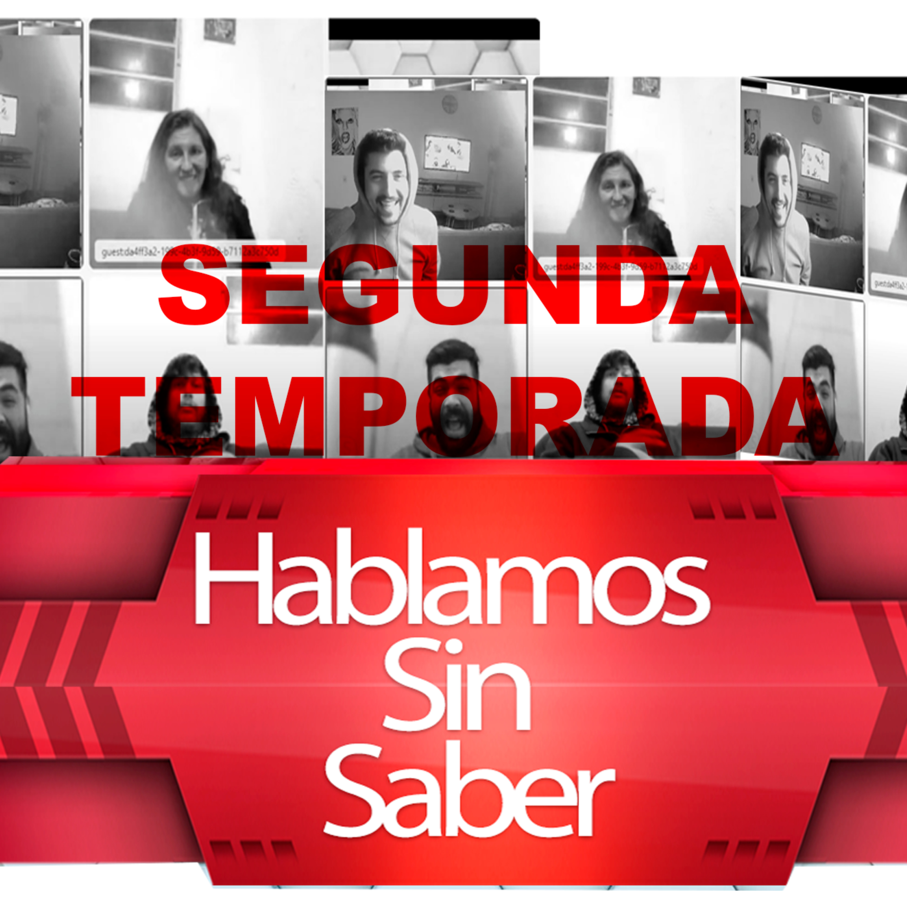 Hablamos sin Saber podcast artwork