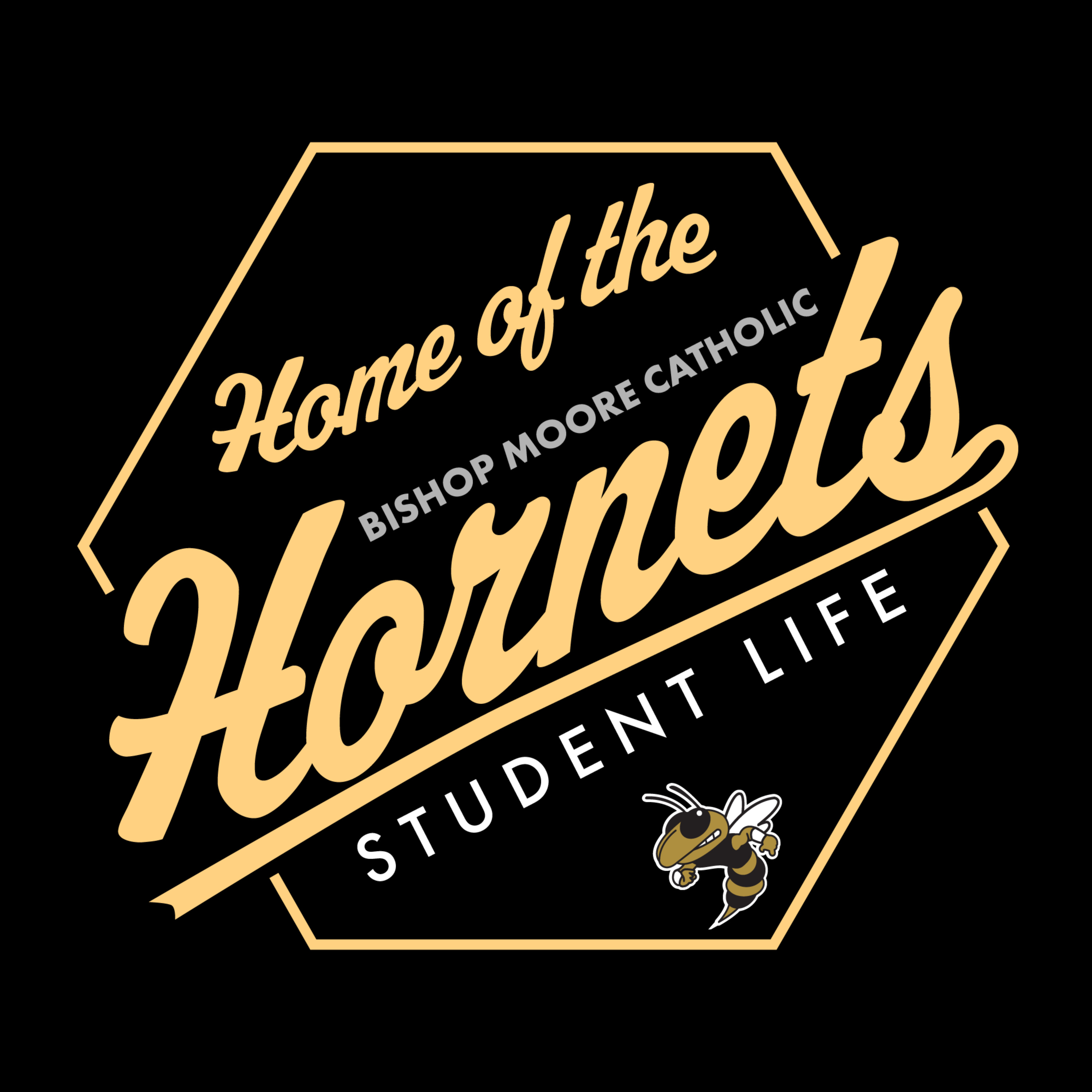 Artwork for BMC Hornets