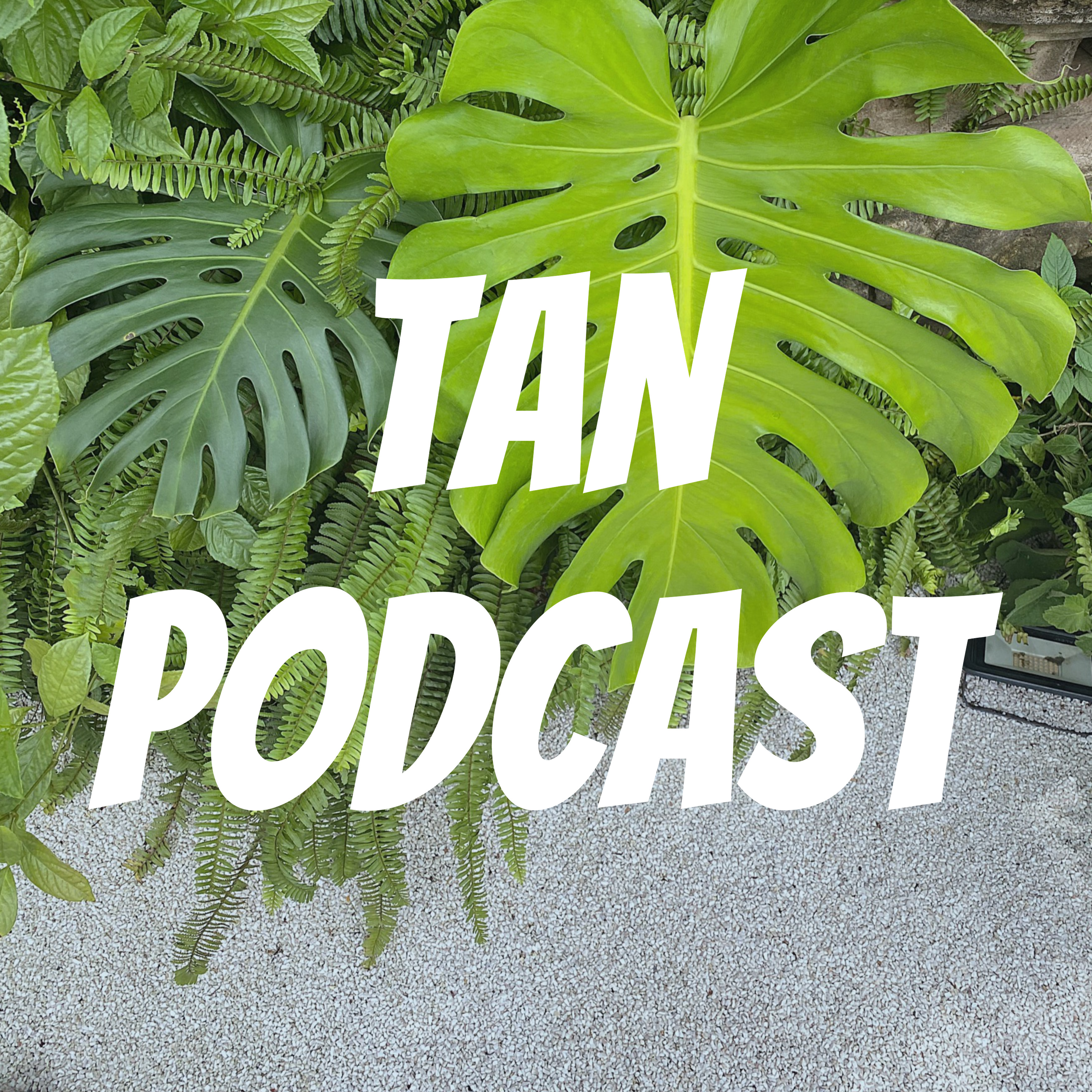 Tan Podcast podcast artwork