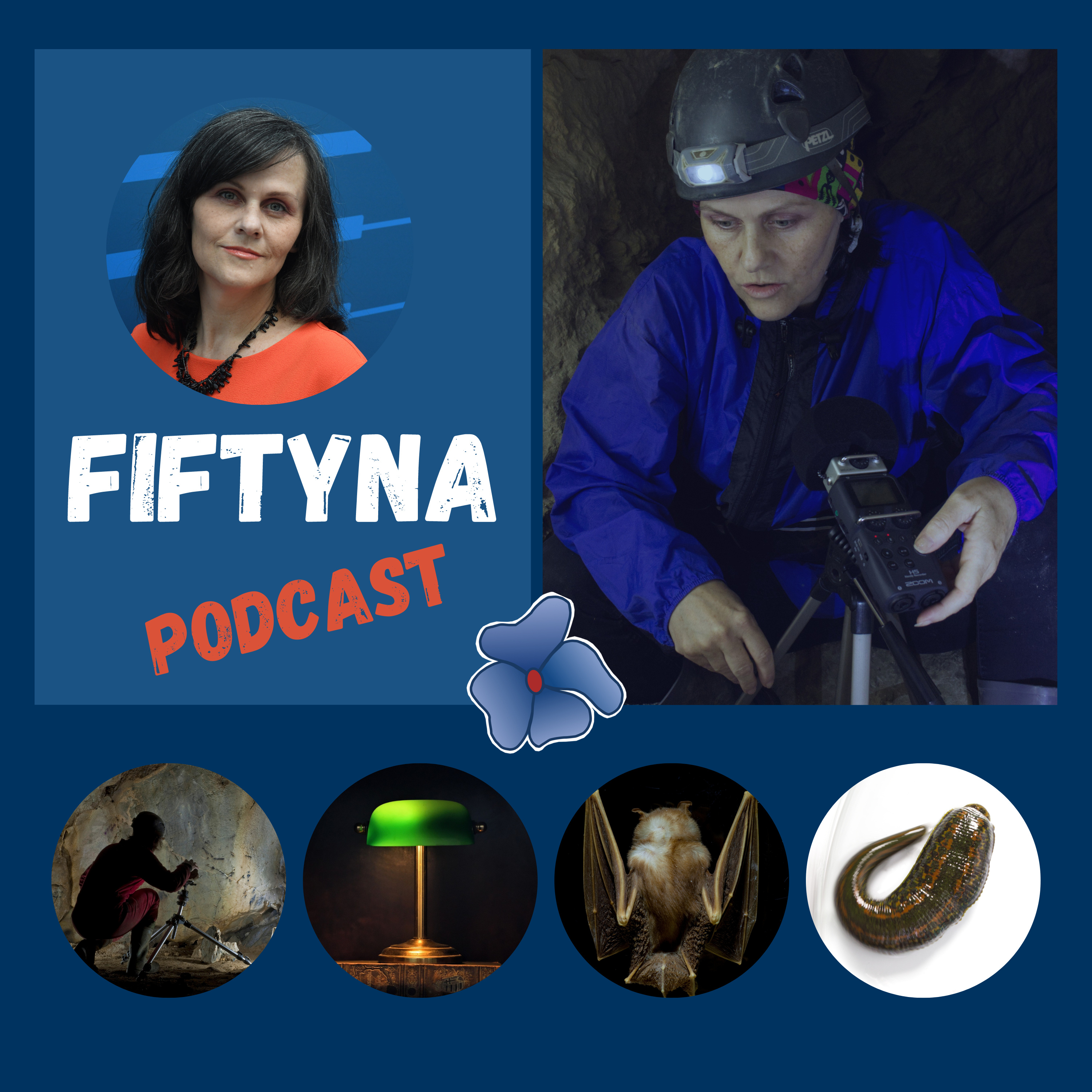 Fiftyna