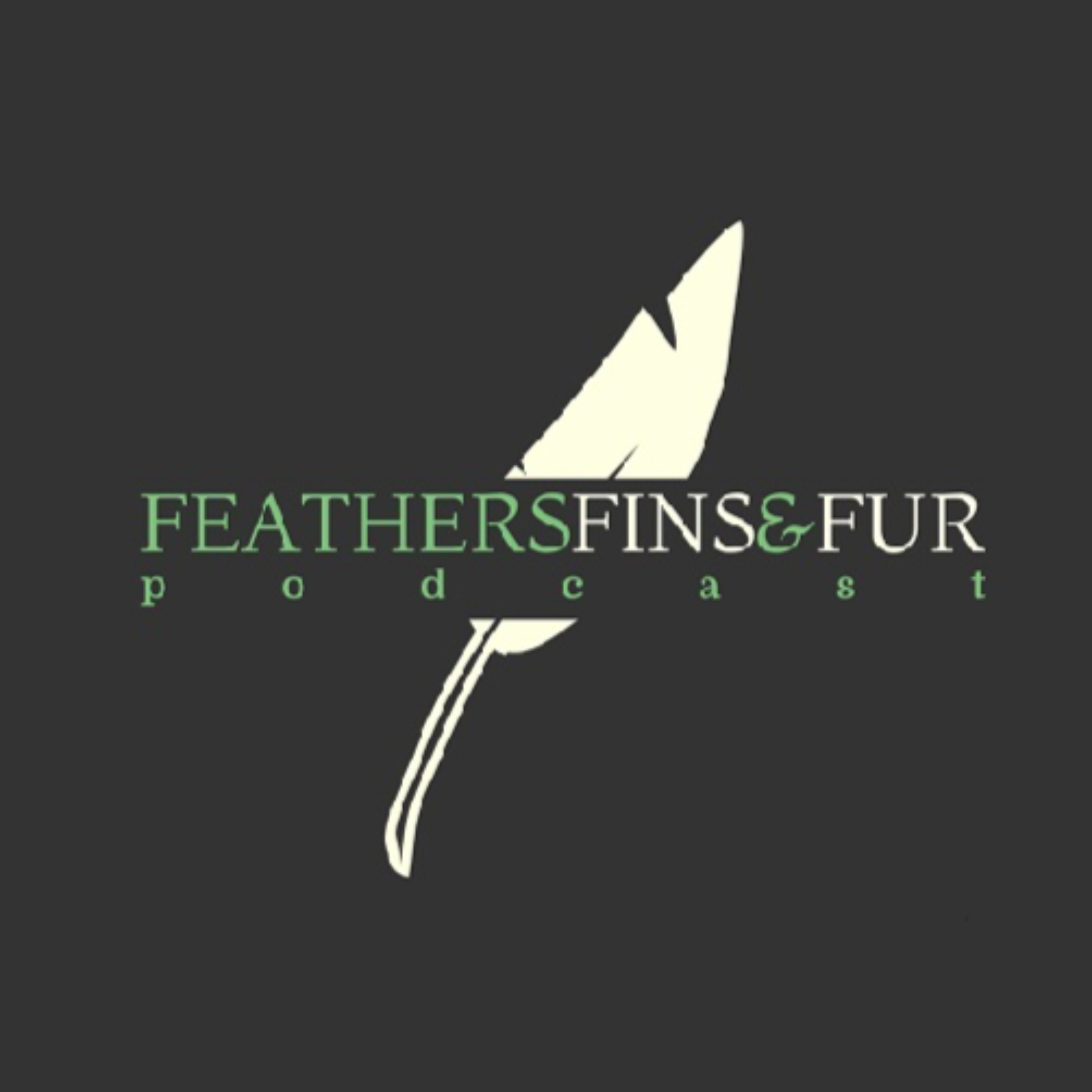 Feathers Fins and Fur