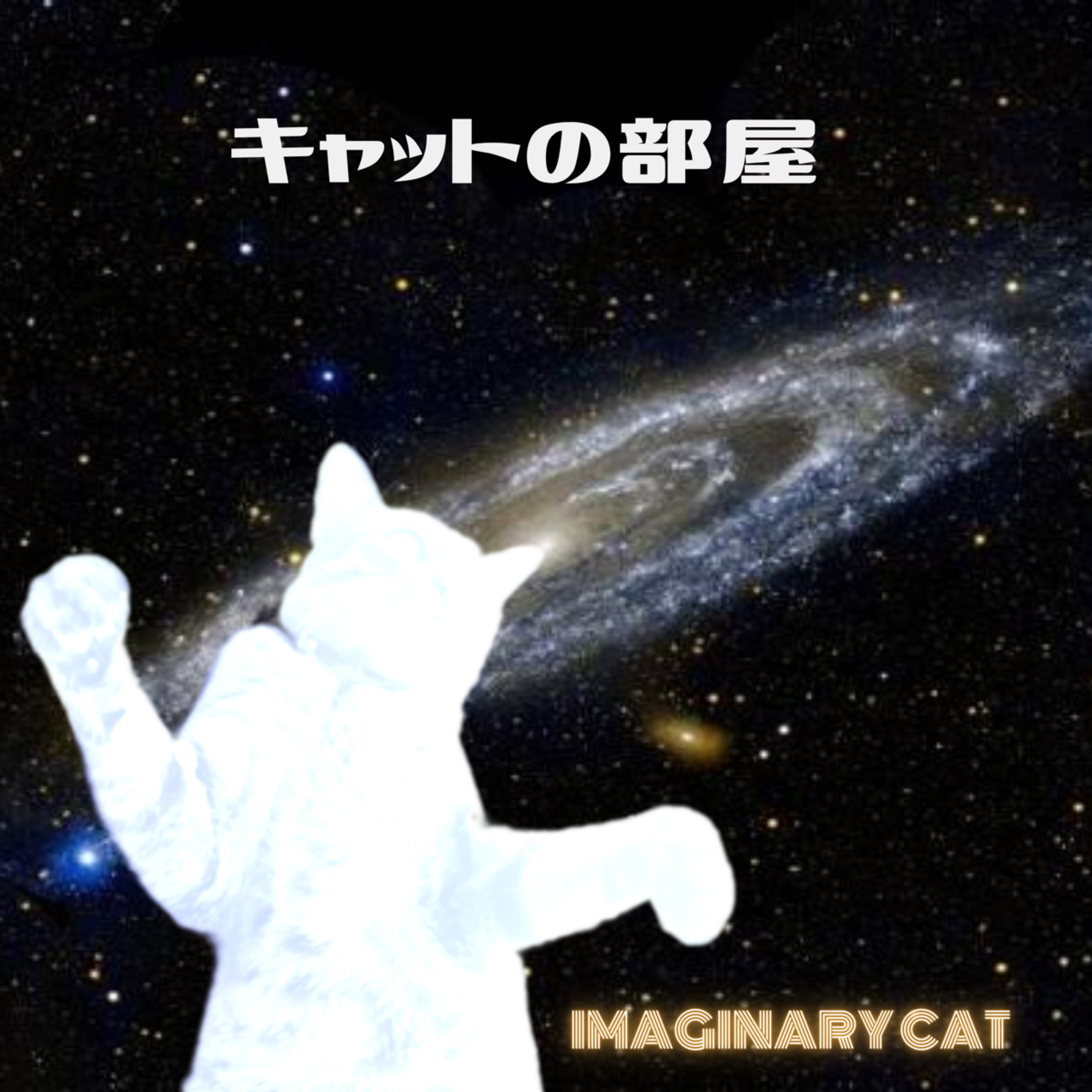 キャットの部屋