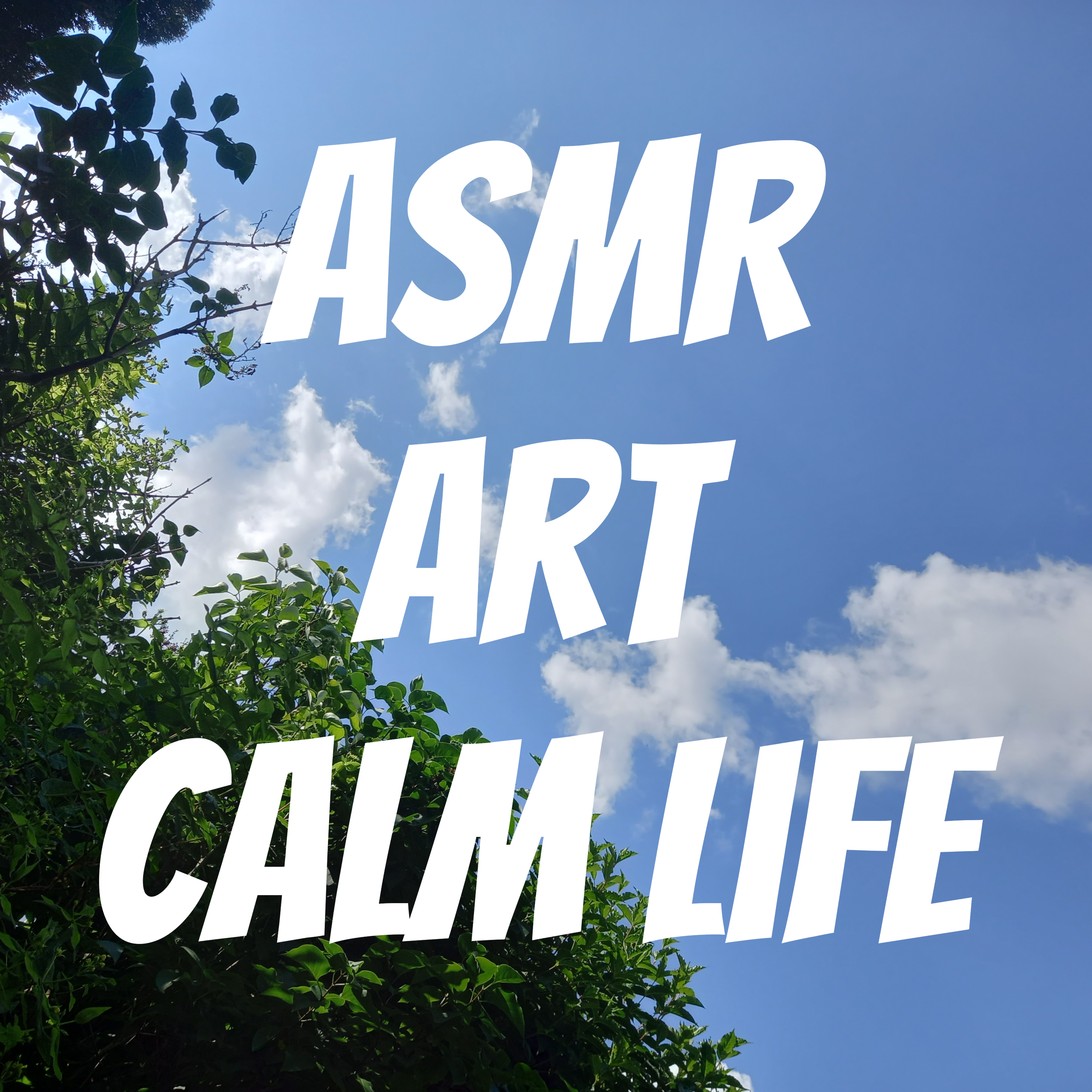 ASMR Art Calm Life