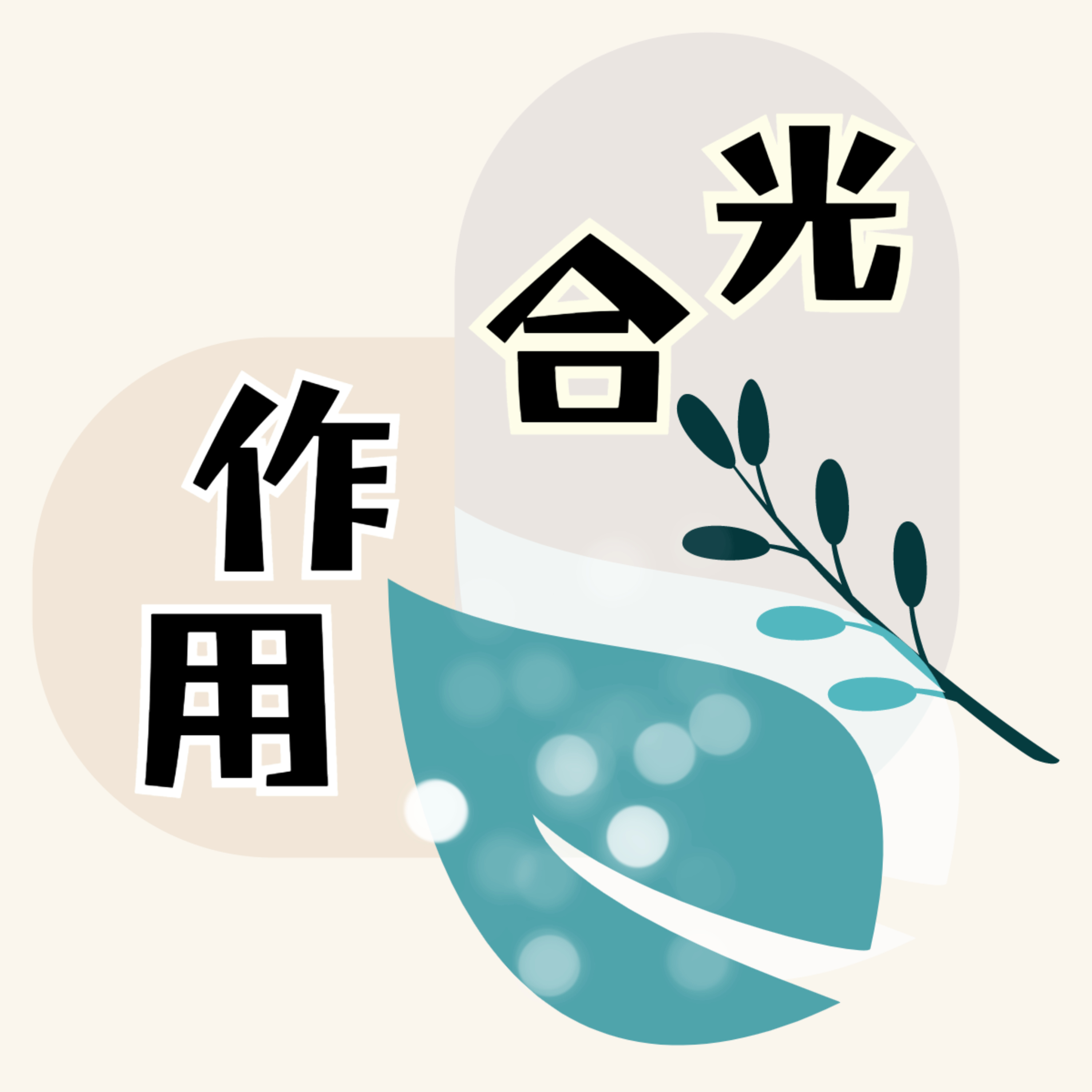 光合作用留学