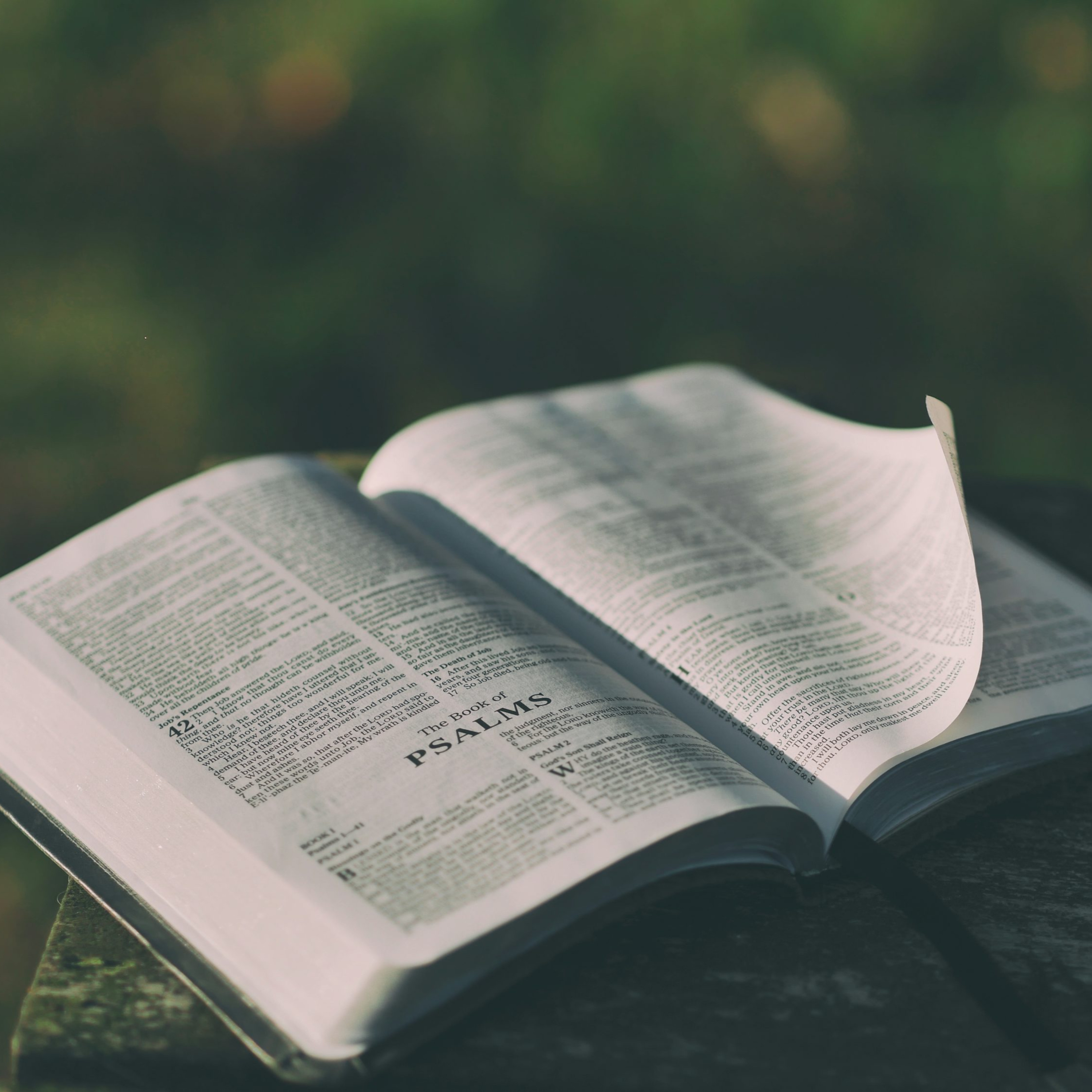 English Standard Read-Aloud