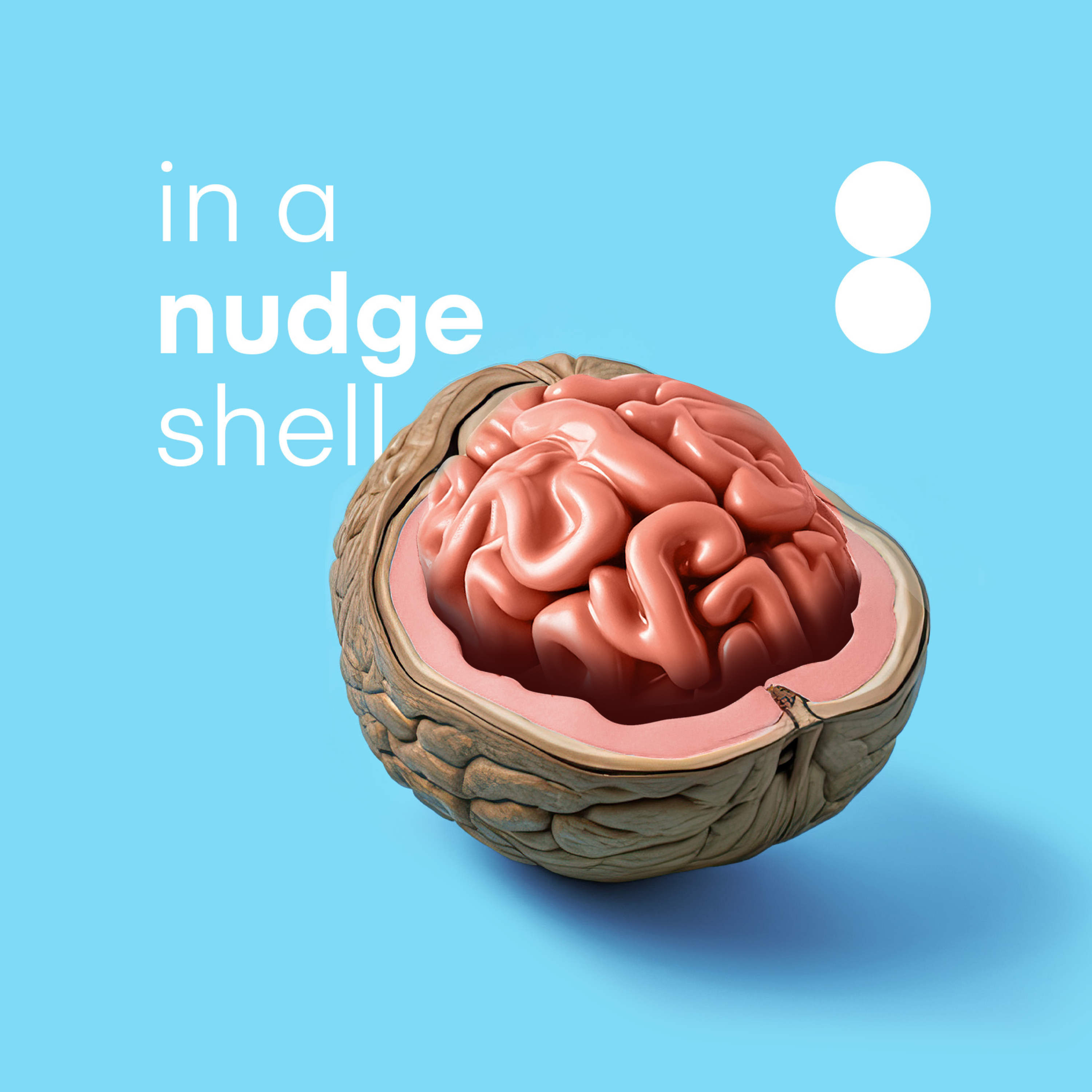 In a Nudgeshell
