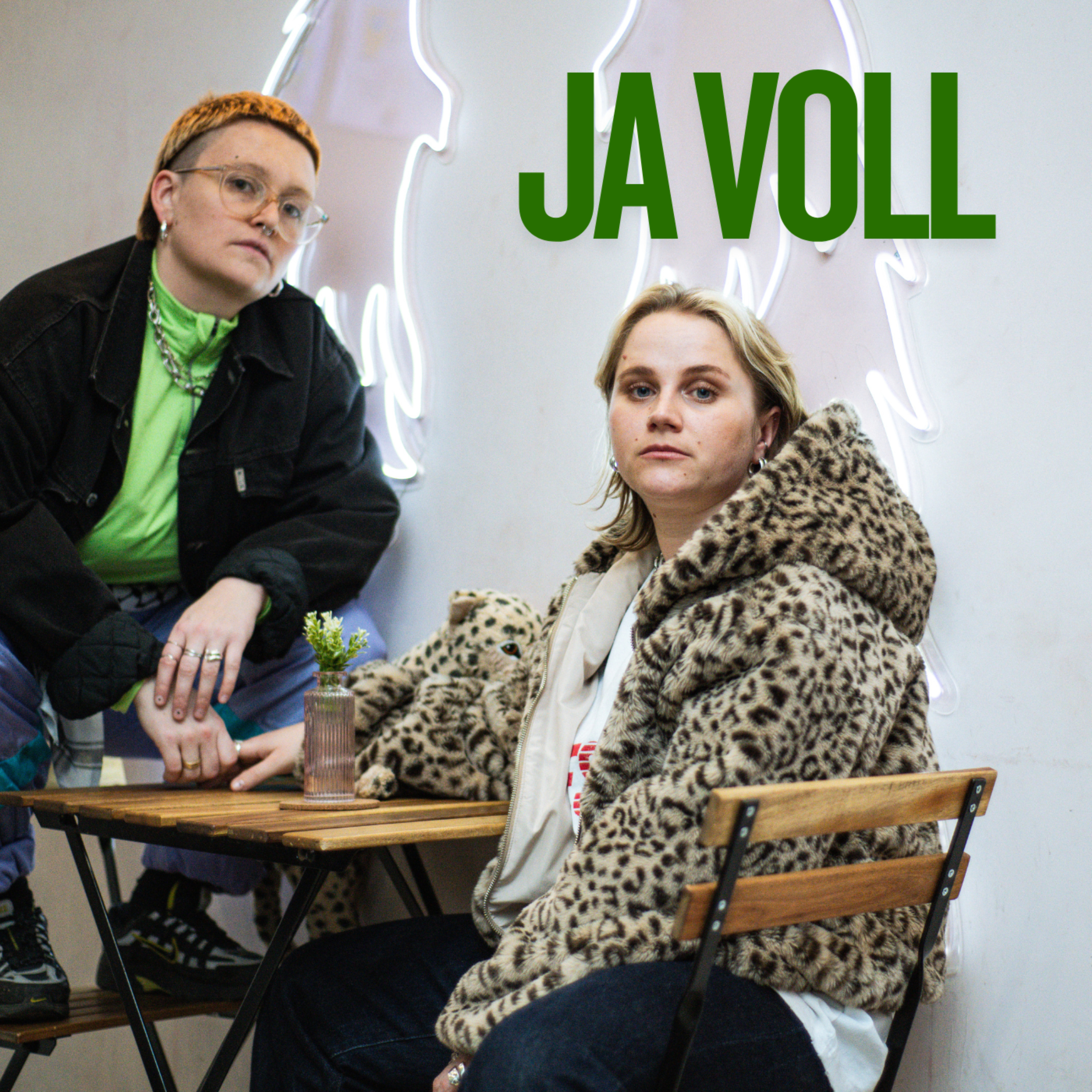 Artwork for Ja voll