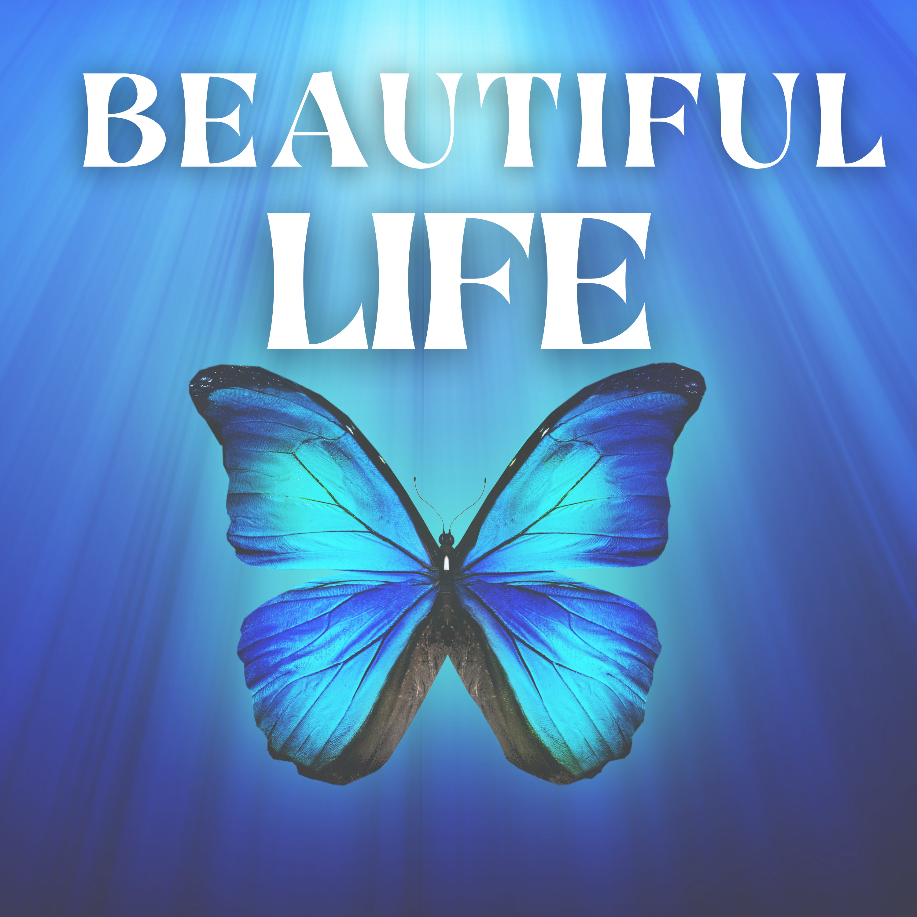 Beautiful Life Meditations podcast artwork