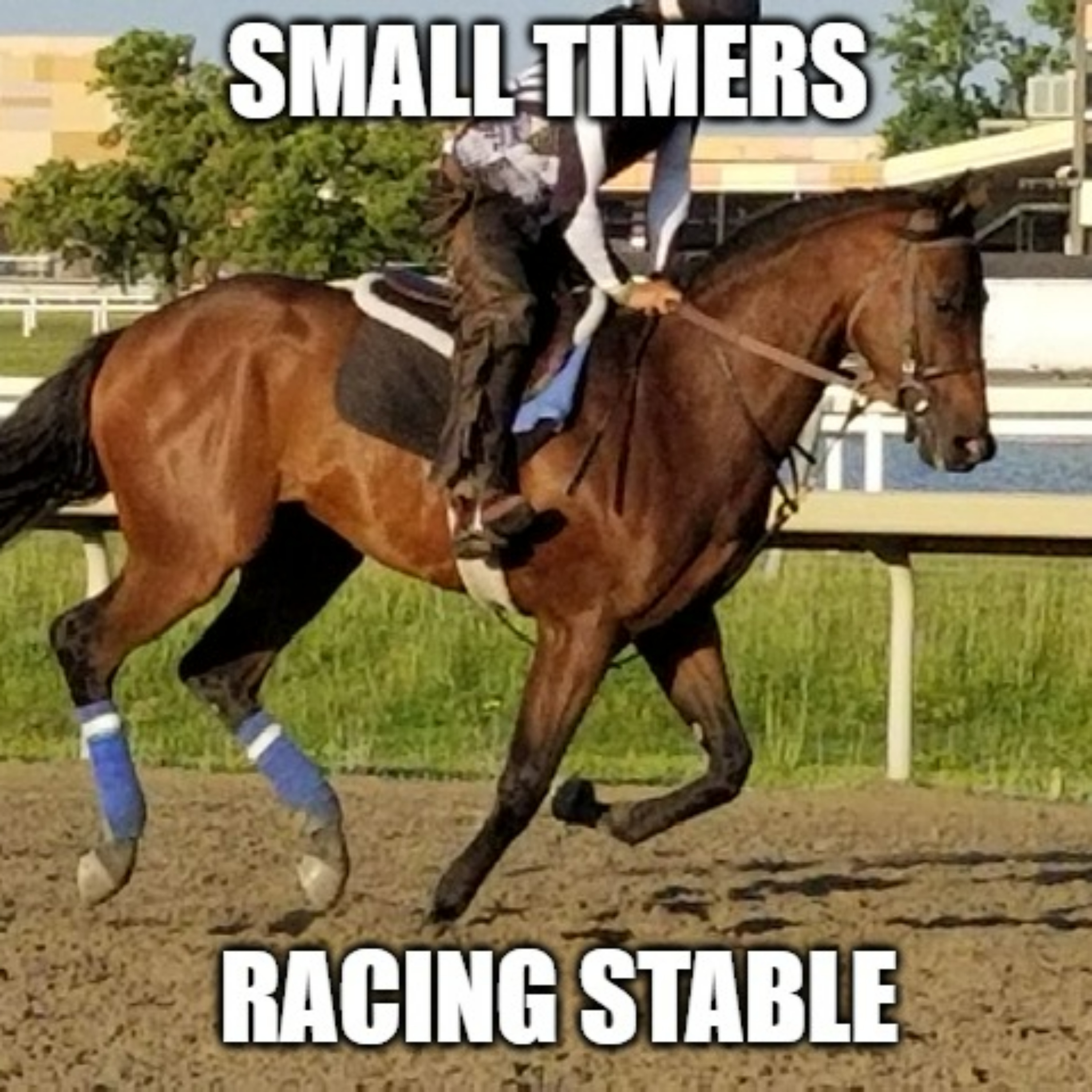 Small Timers Racing Stable podcast artwork