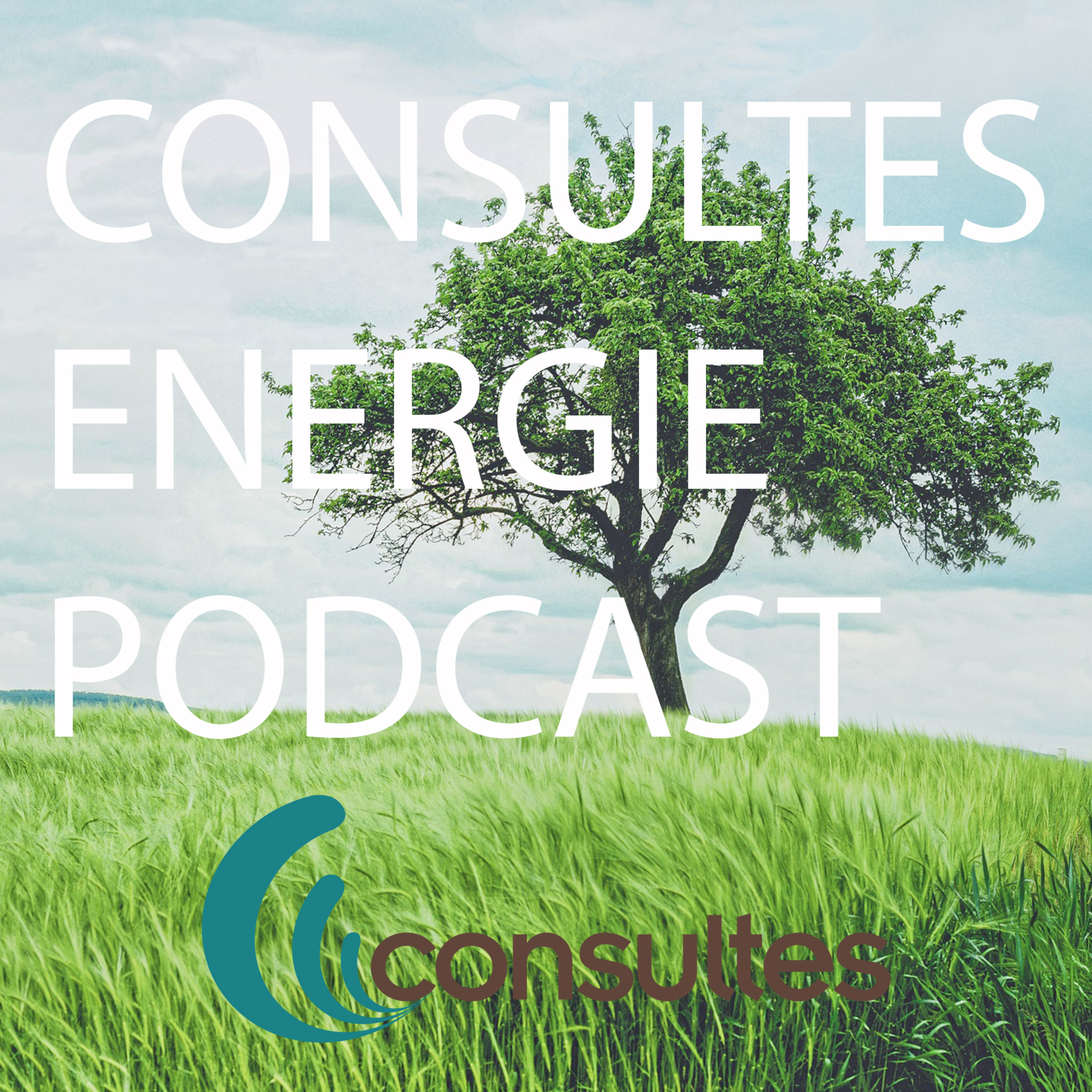 Consultes Energie Podcast podcast artwork