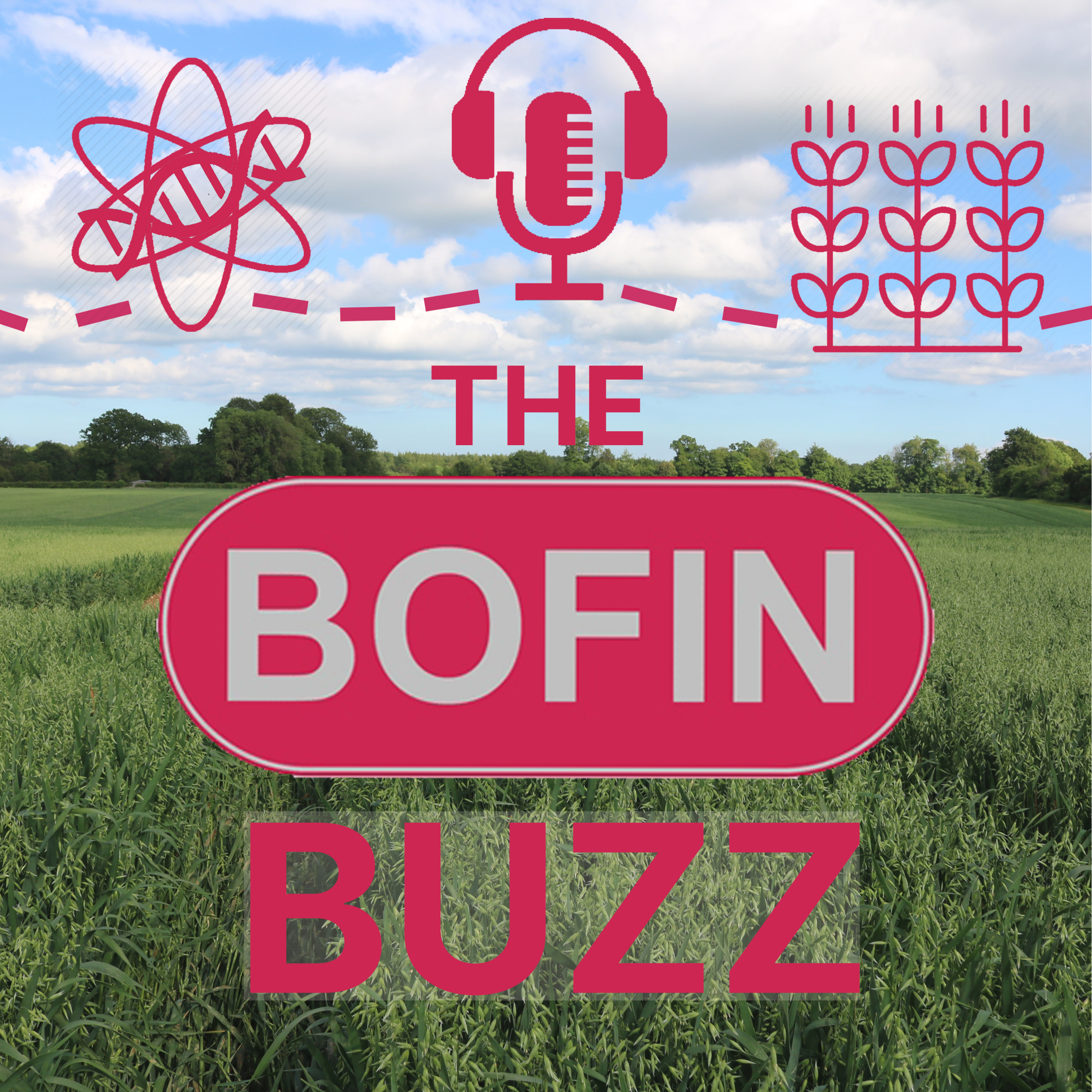 The BOFIN Buzz