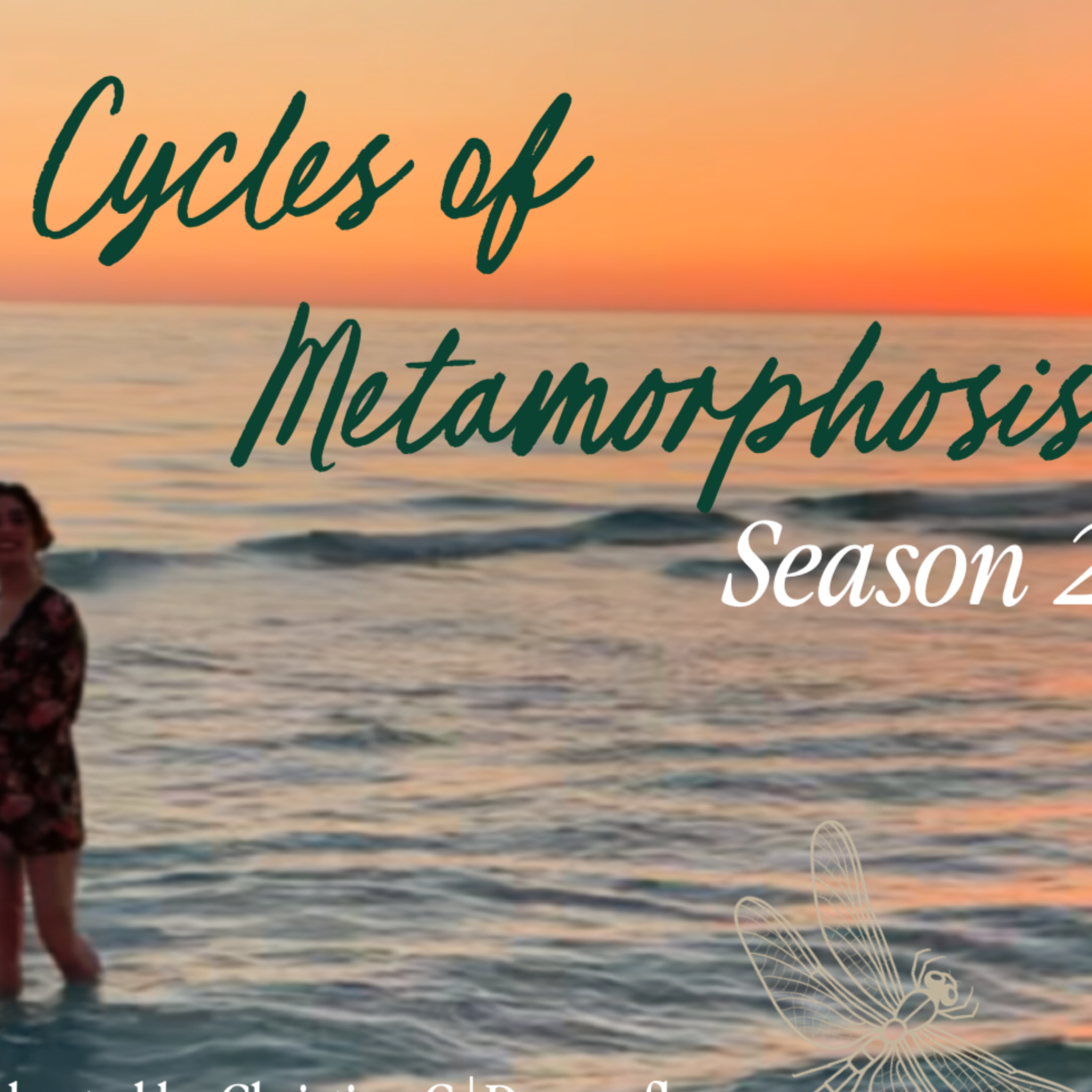 Cycles of Metamorphosis