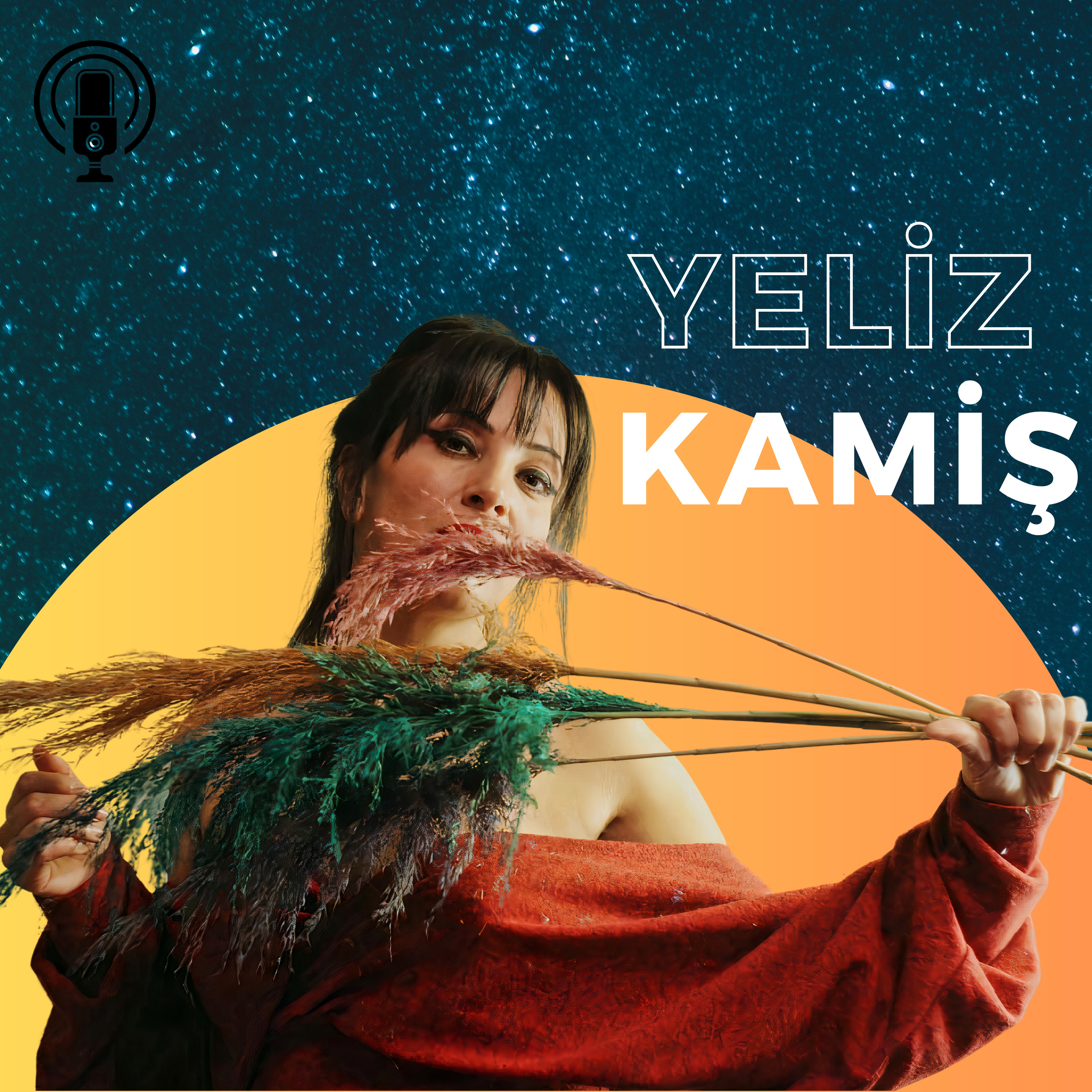 Dişil Podcast podcast artwork