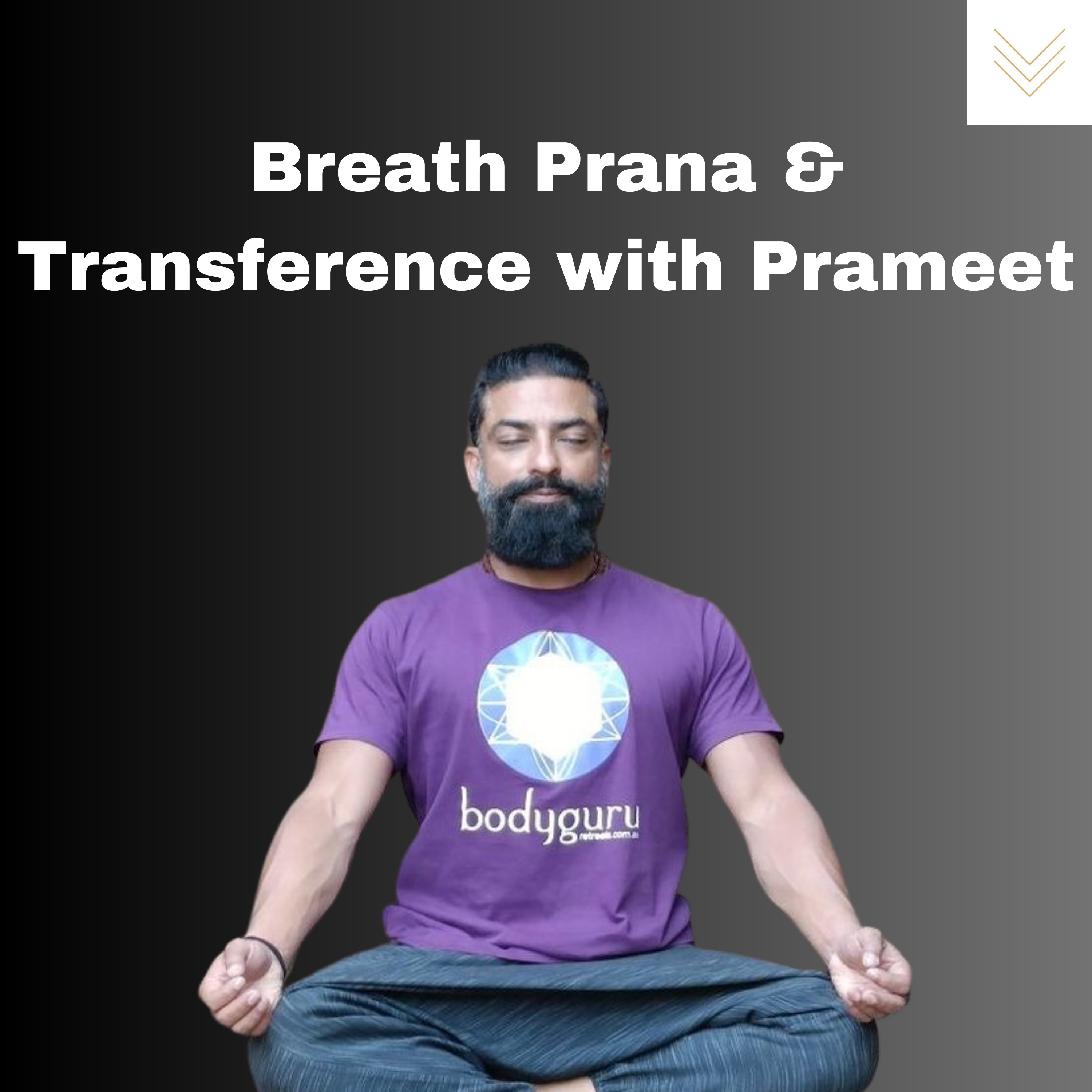 Breath, Prana & Transference with Prameet