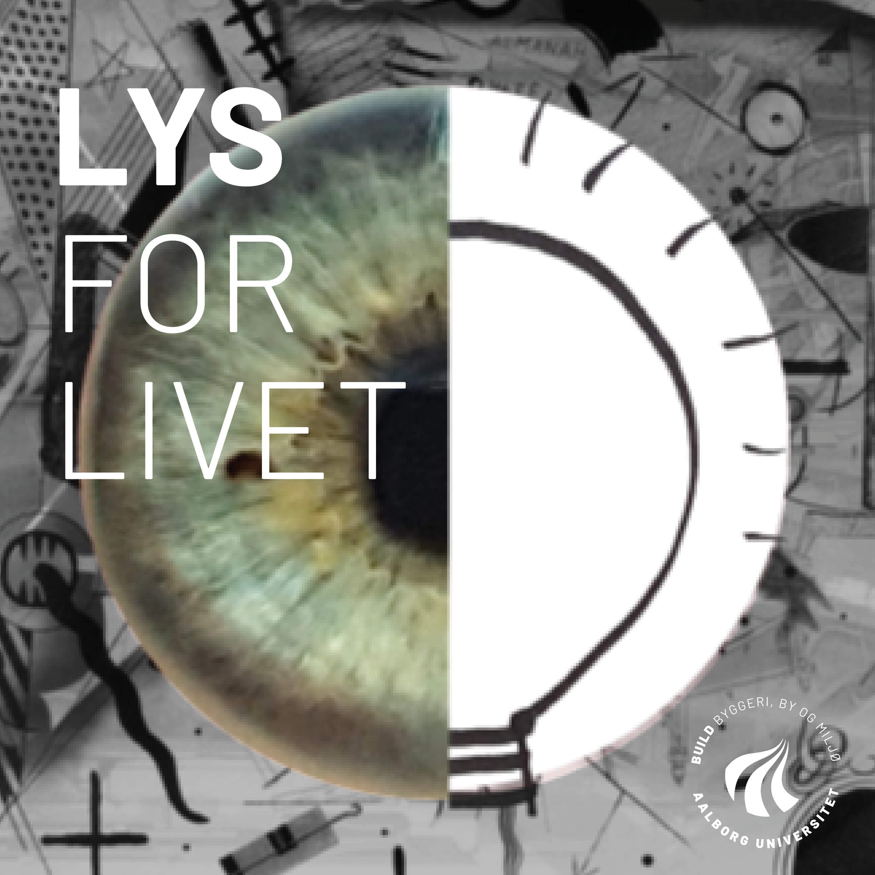 Lysets betydning for svagsynede af BUILD - Institut for Byggeri, By og Miljø - Aalborg Universitet