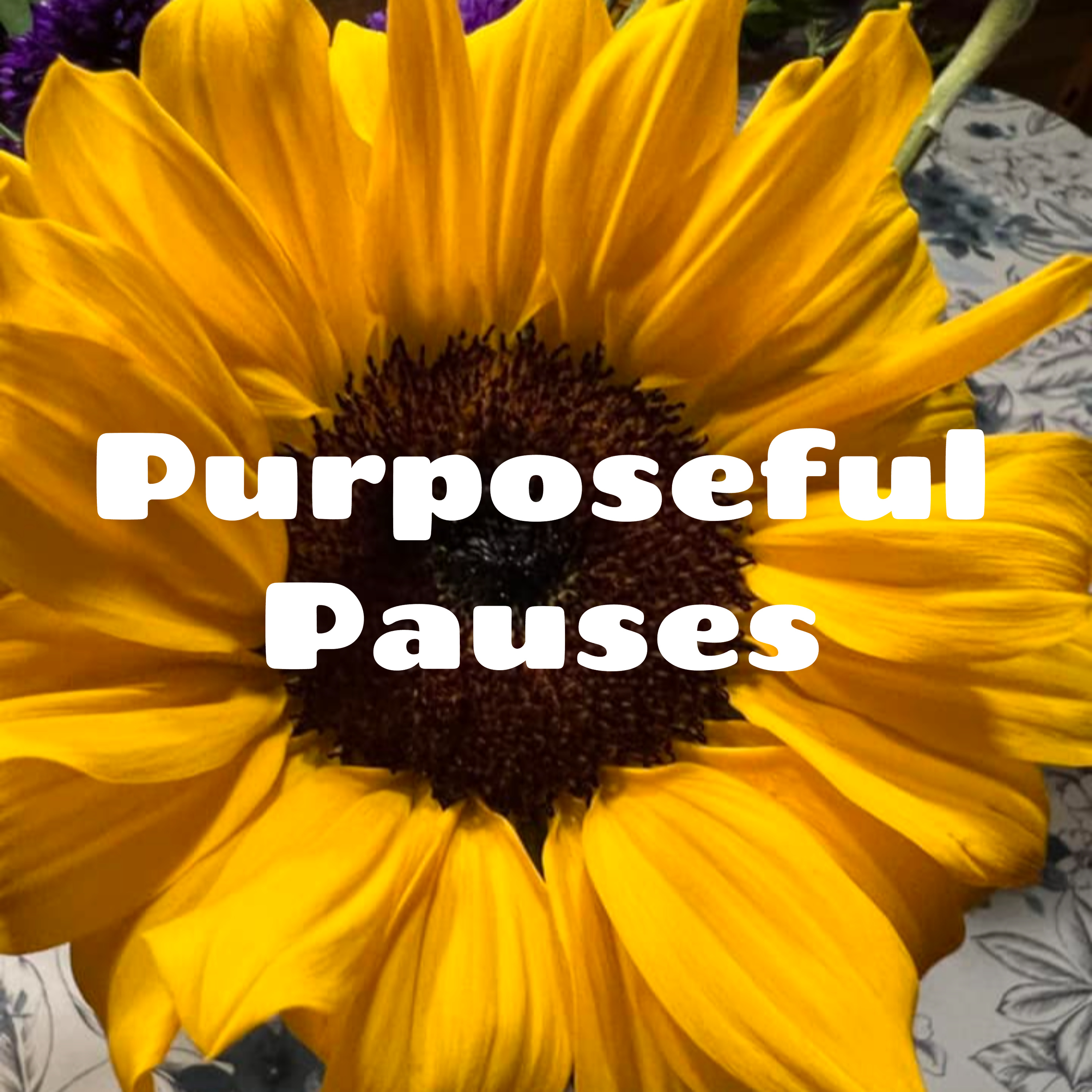 Purposeful Pauses