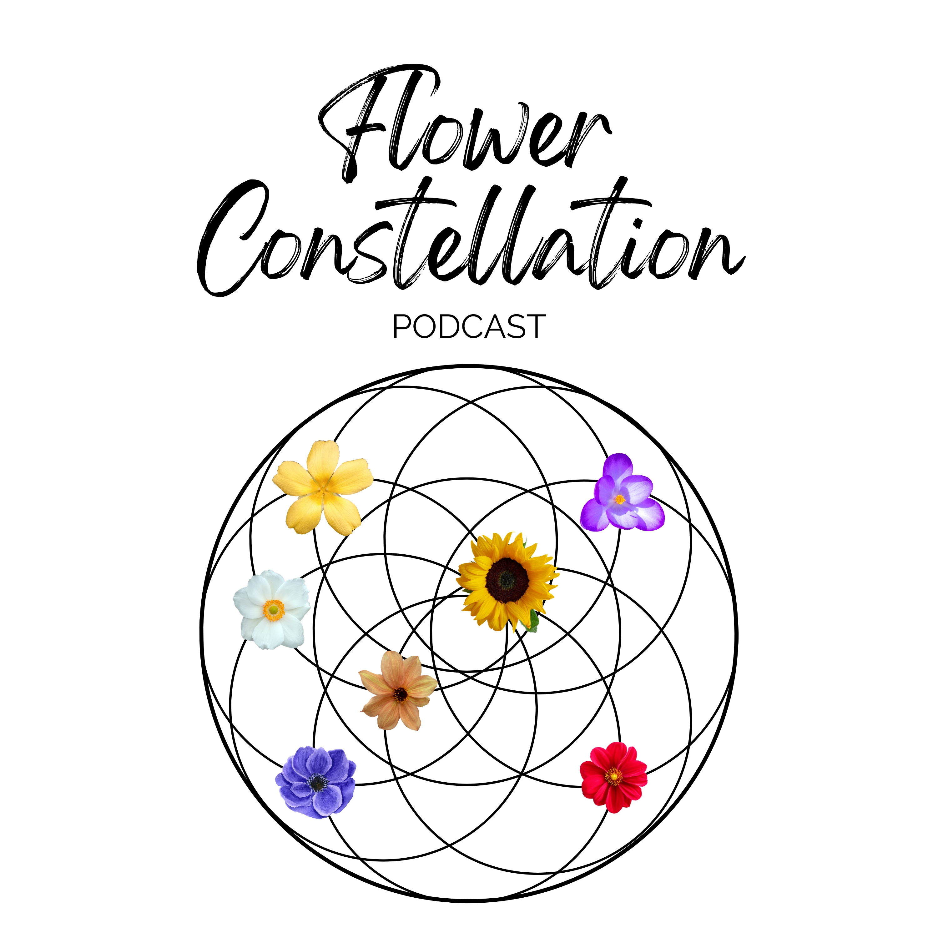 Flower Constellation