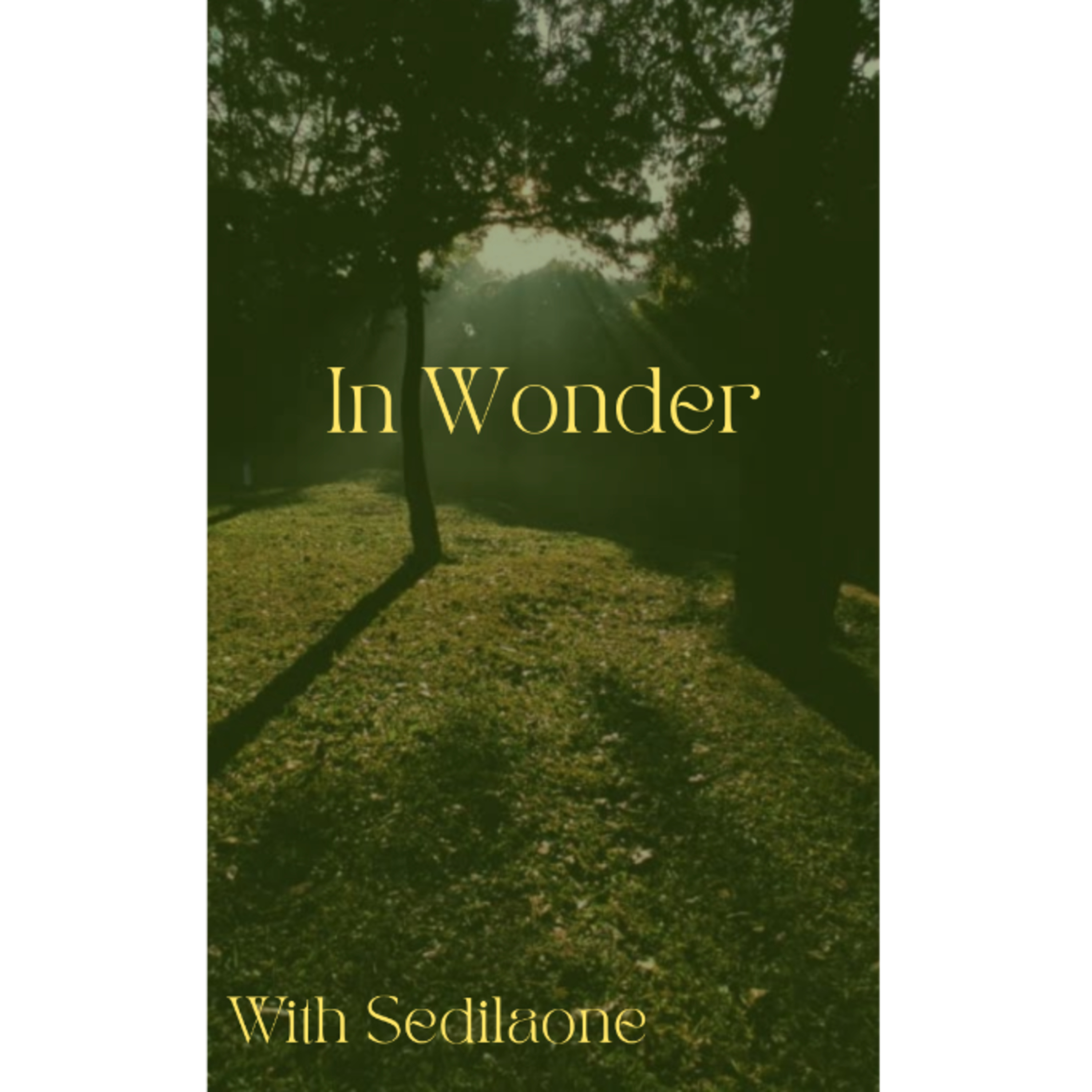 In Wonder with Sedilaone podcast artwork