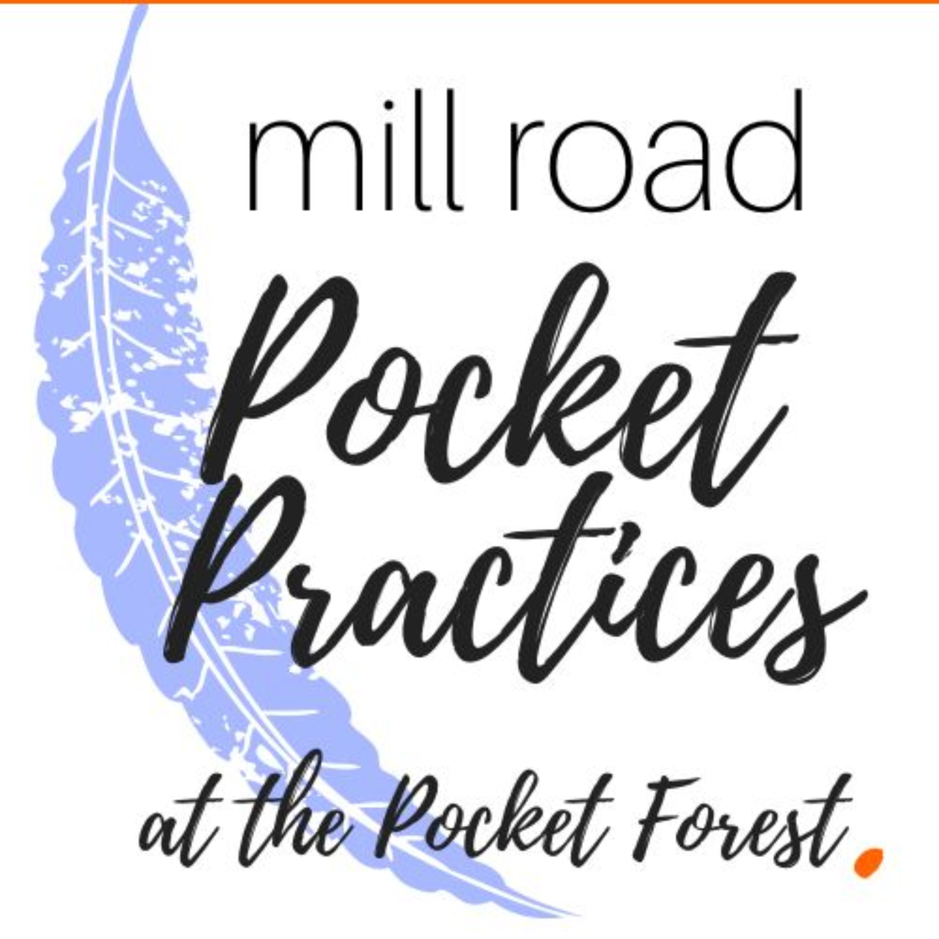 Mill Road Pocket Forest - Pocket Practices