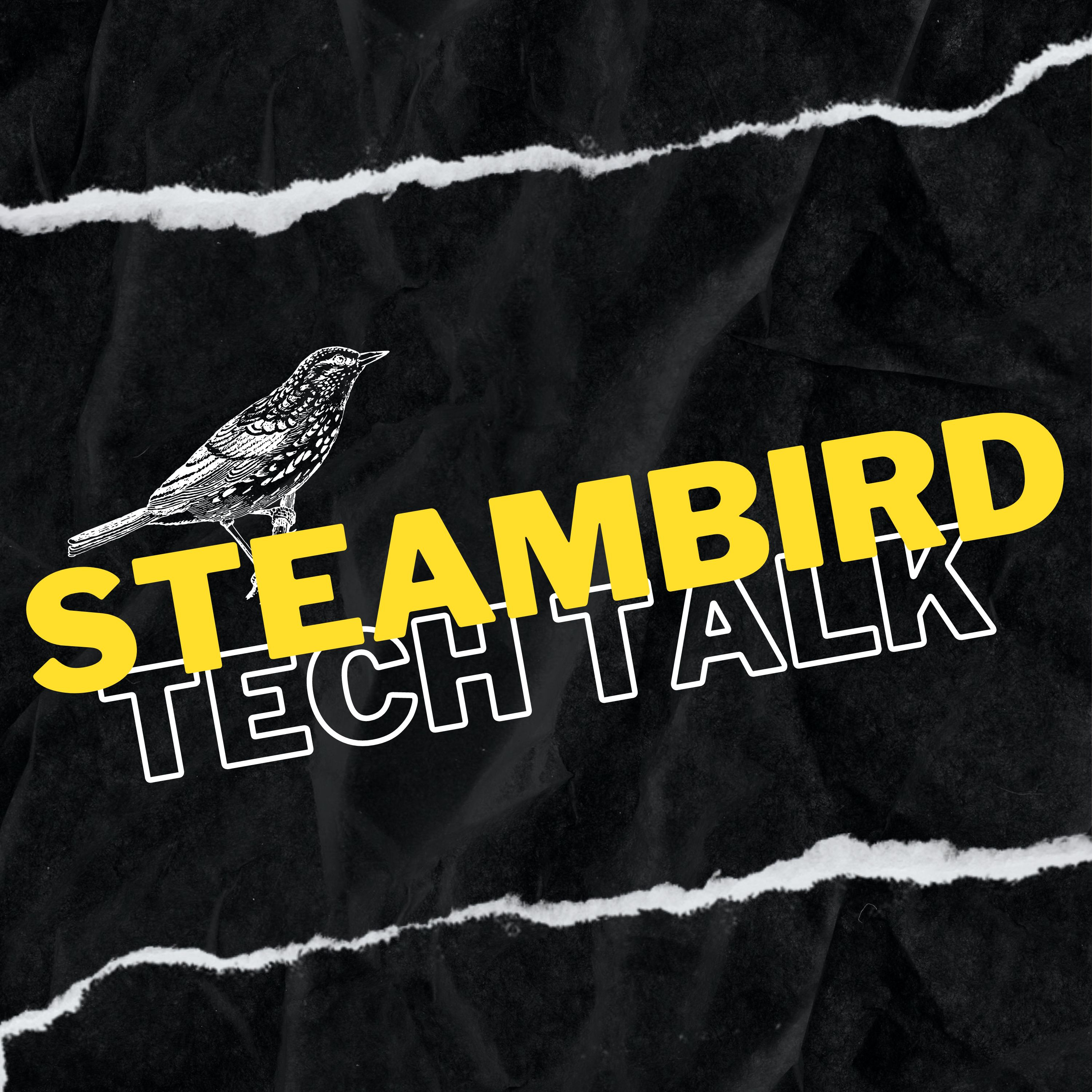SteamBird: TechTalk podcast artwork