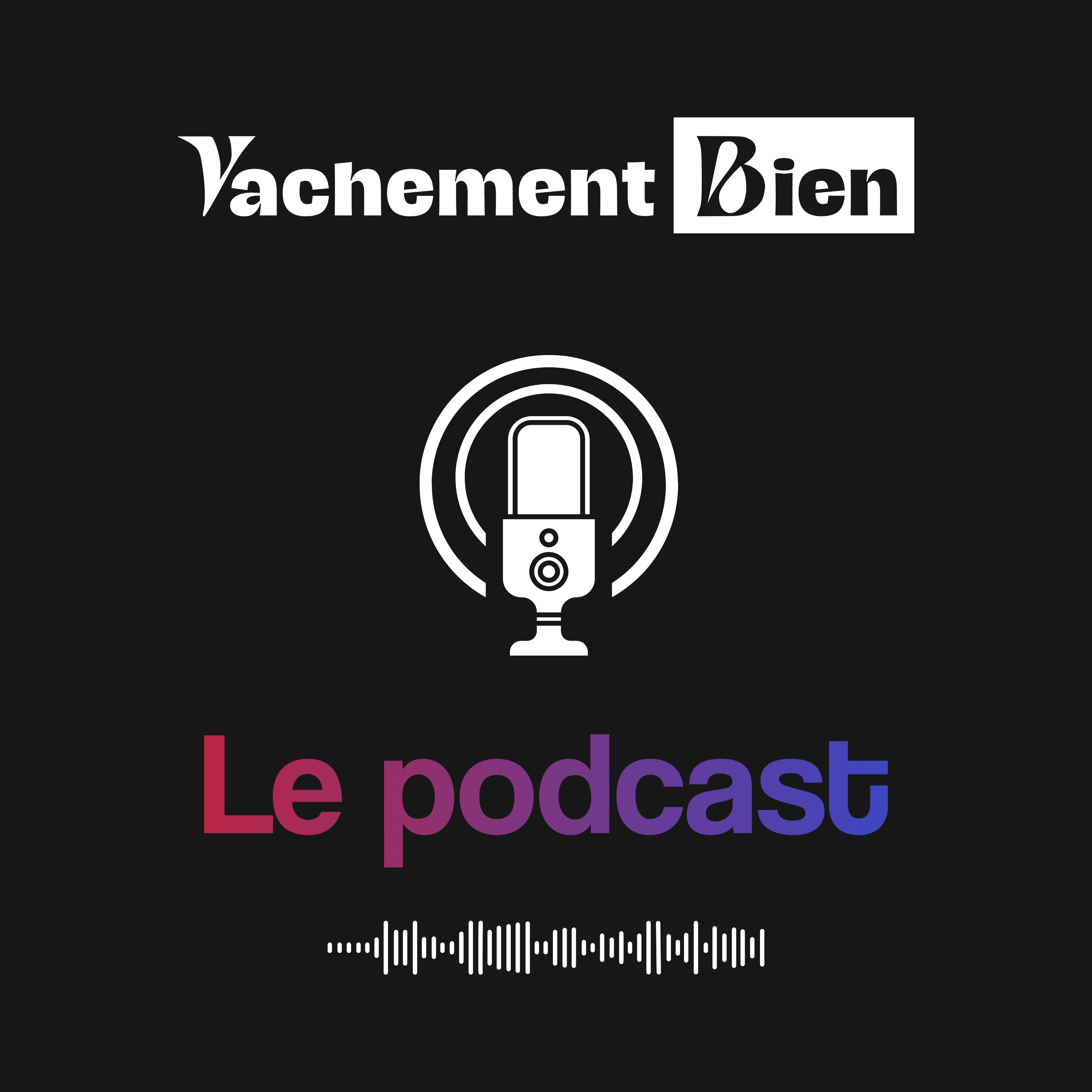 Vachement Bien le podcast