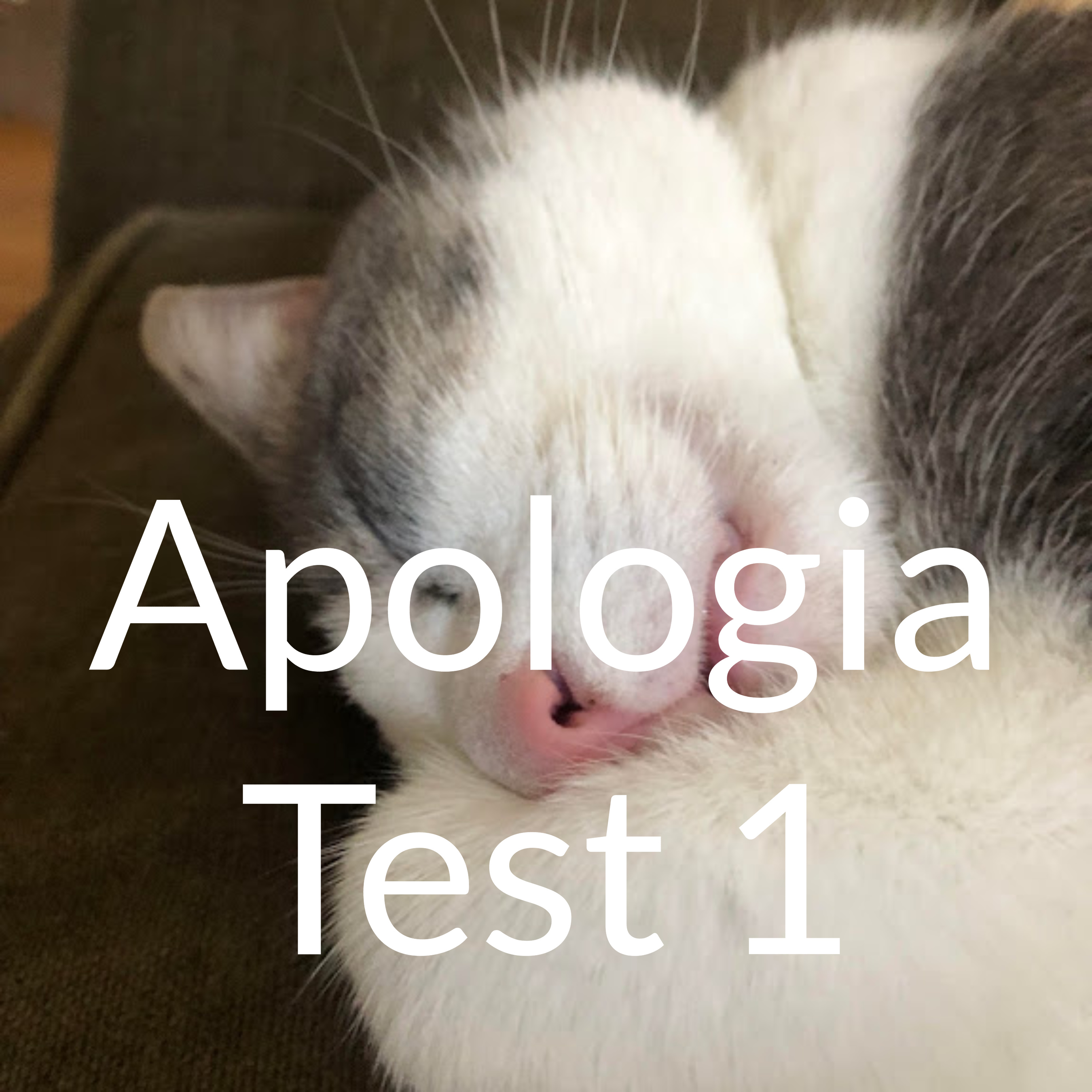 Apologia Test 1 podcast artwork
