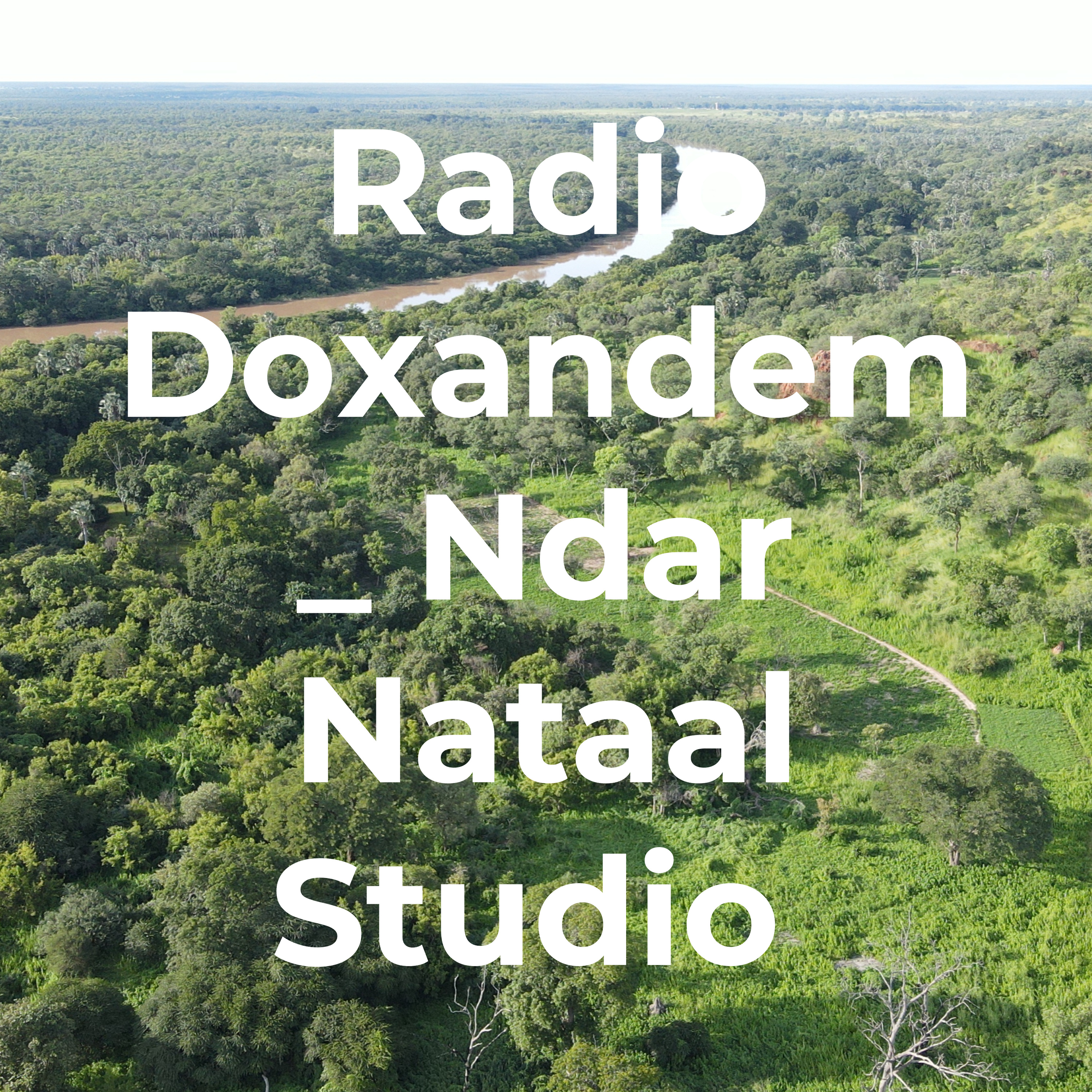 Radio Doxandem _ Ndar Nataal Studio podcast artwork
