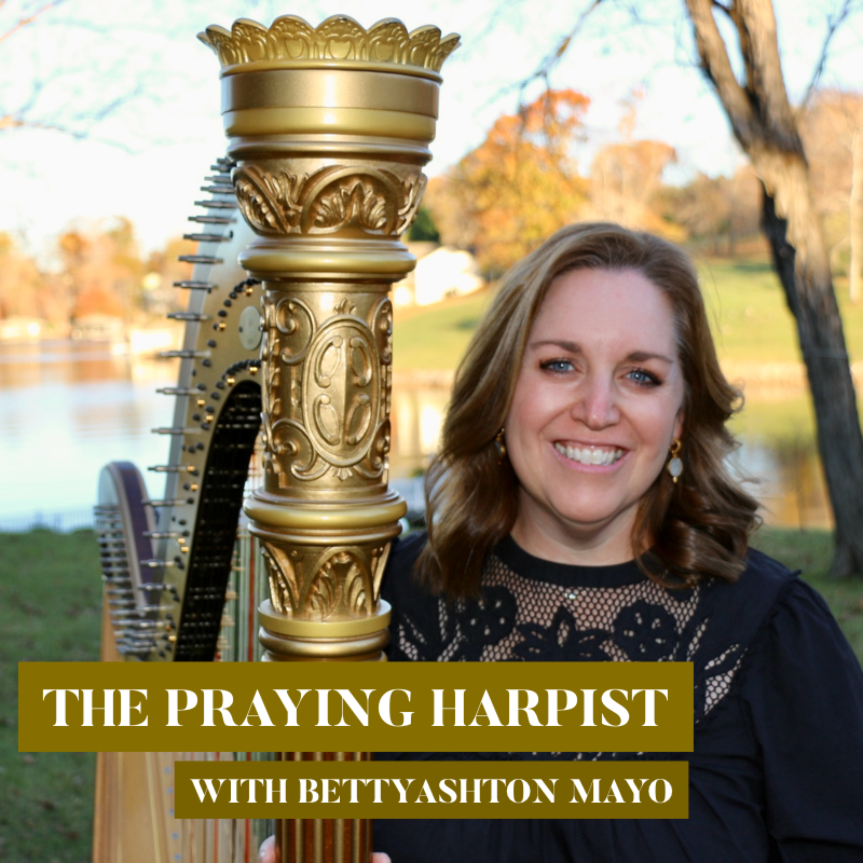 The Praying Harpist: Creating Space to Hear God’s voice and fall in love with Jesus podcast artwork