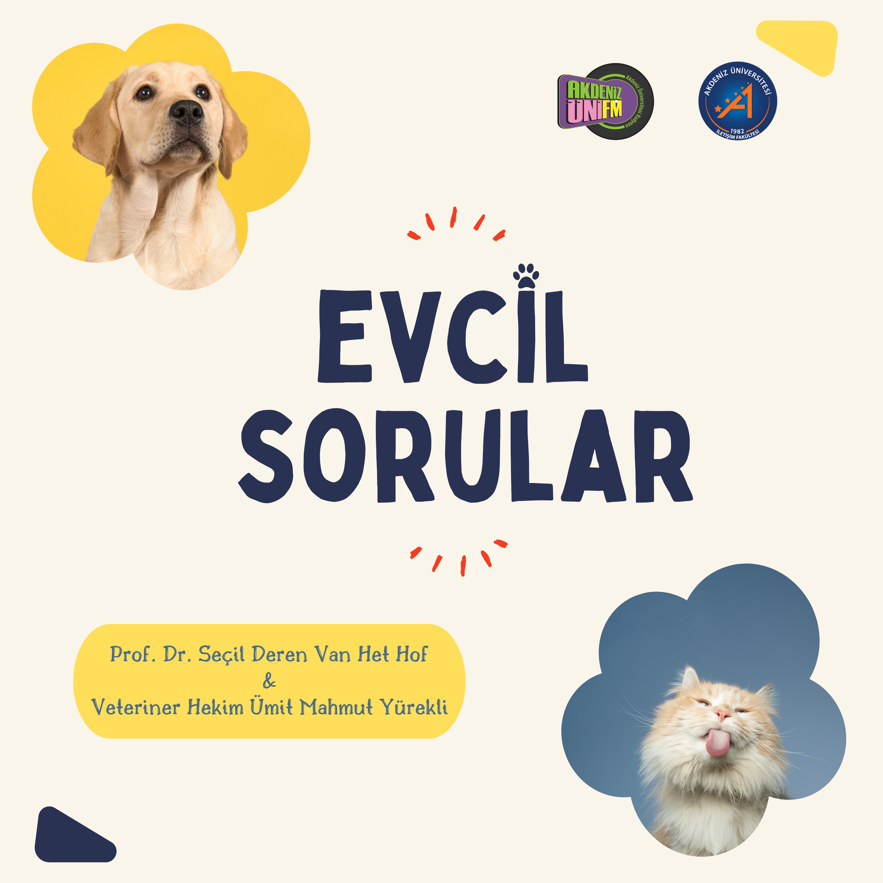 Evcil Sorular cover art