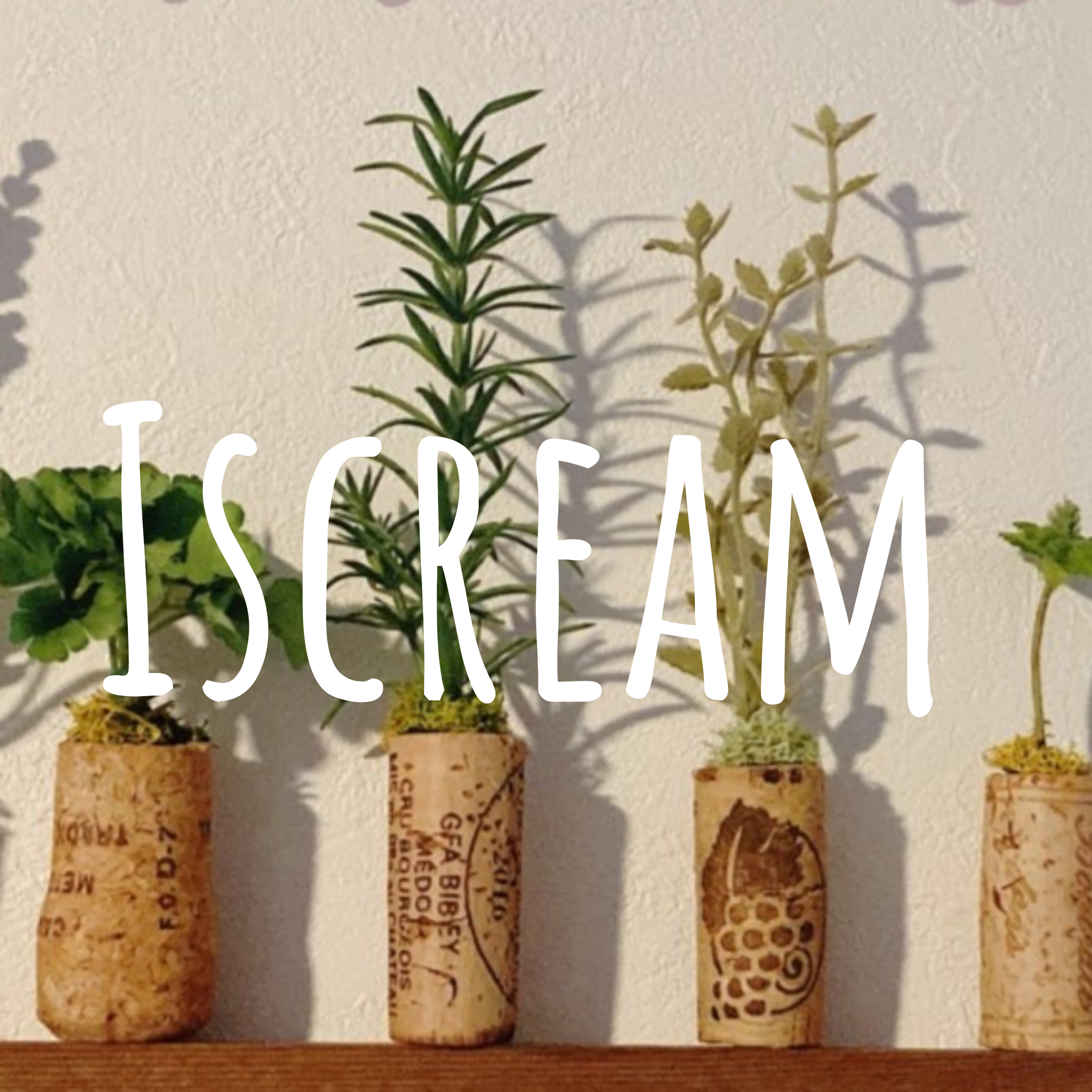 Iscream