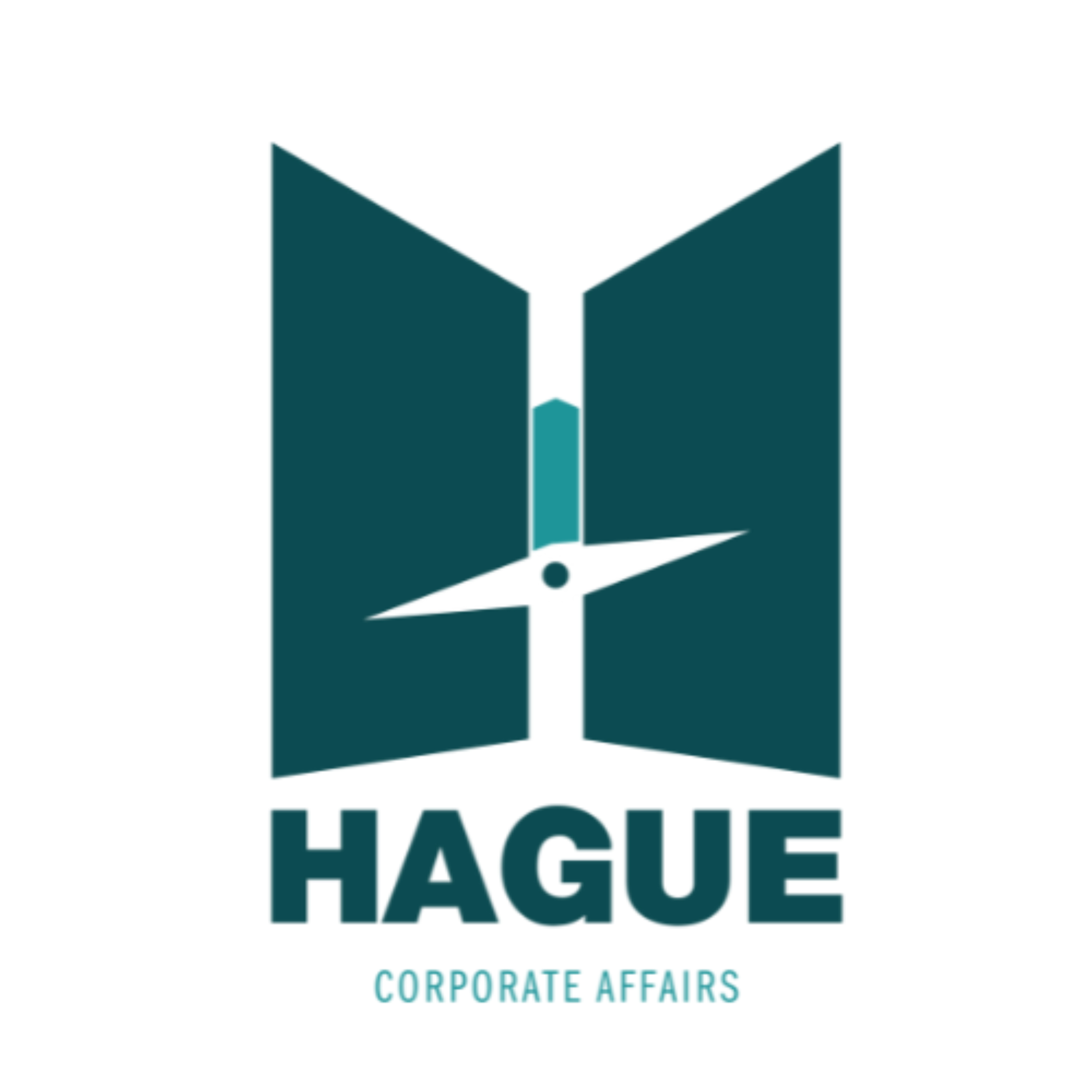 Hague Corporate Affairs - Podcast podcast artwork