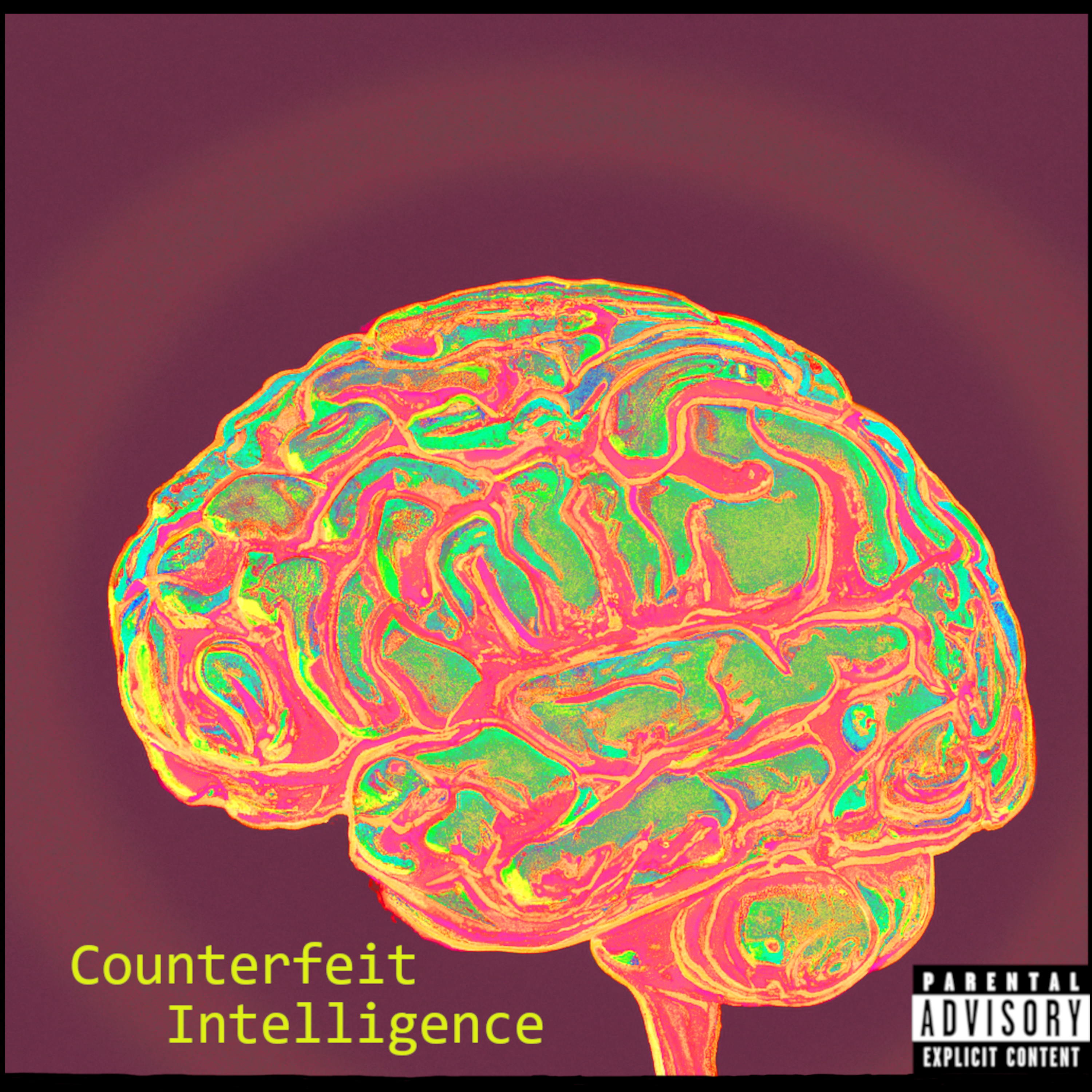 Counterfeit Intelligence Counterfeit Intelligence