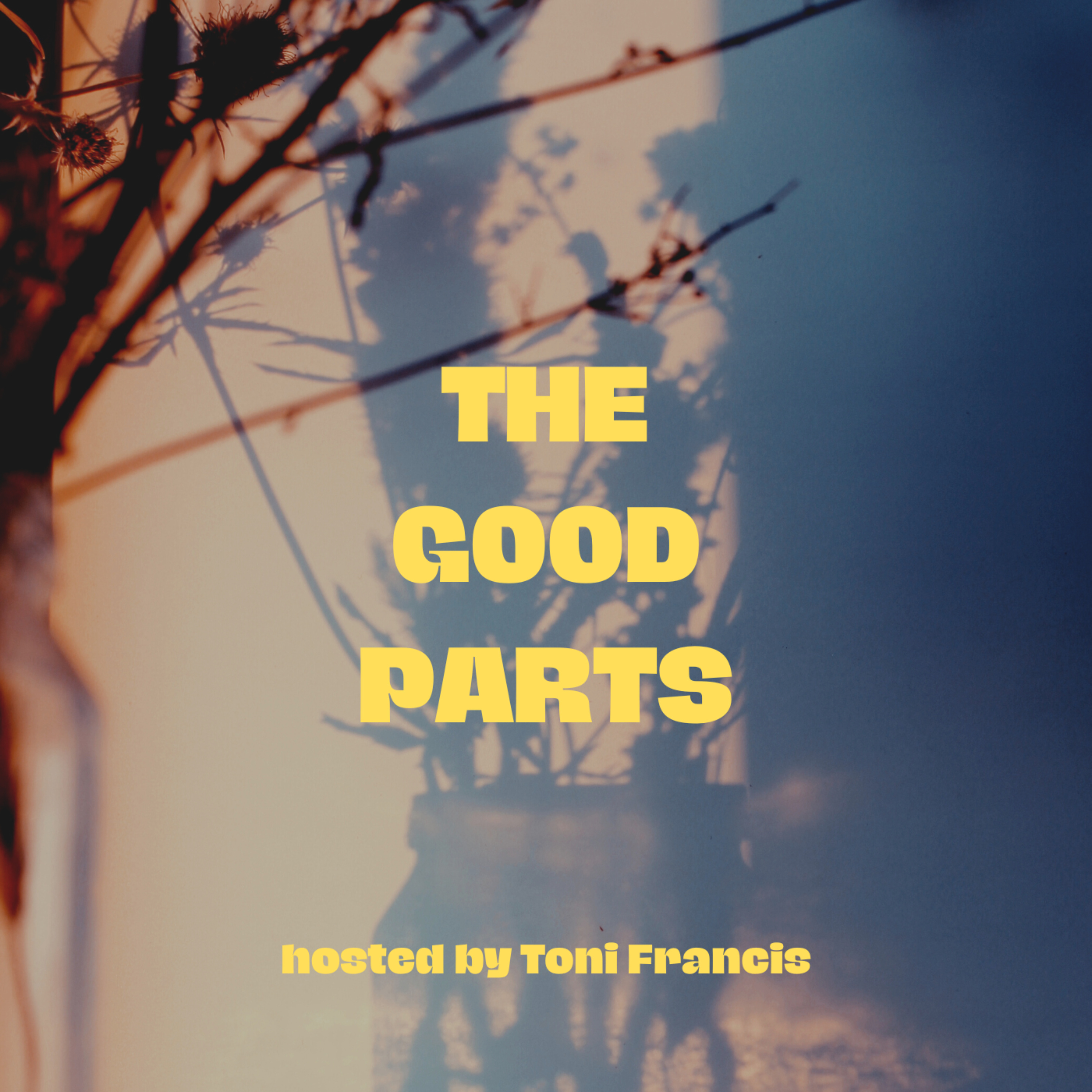The Good Parts