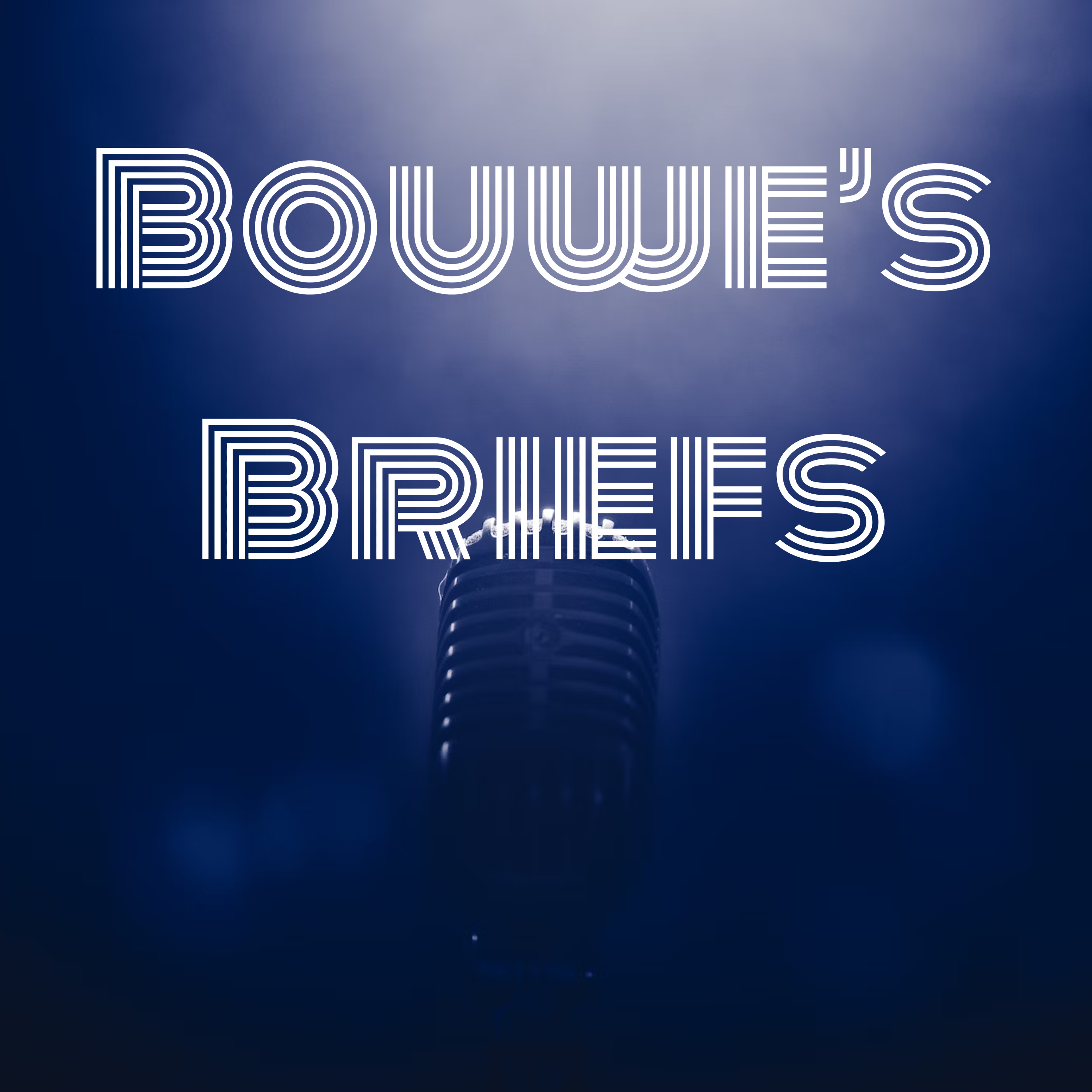 Bouwe's Briefs